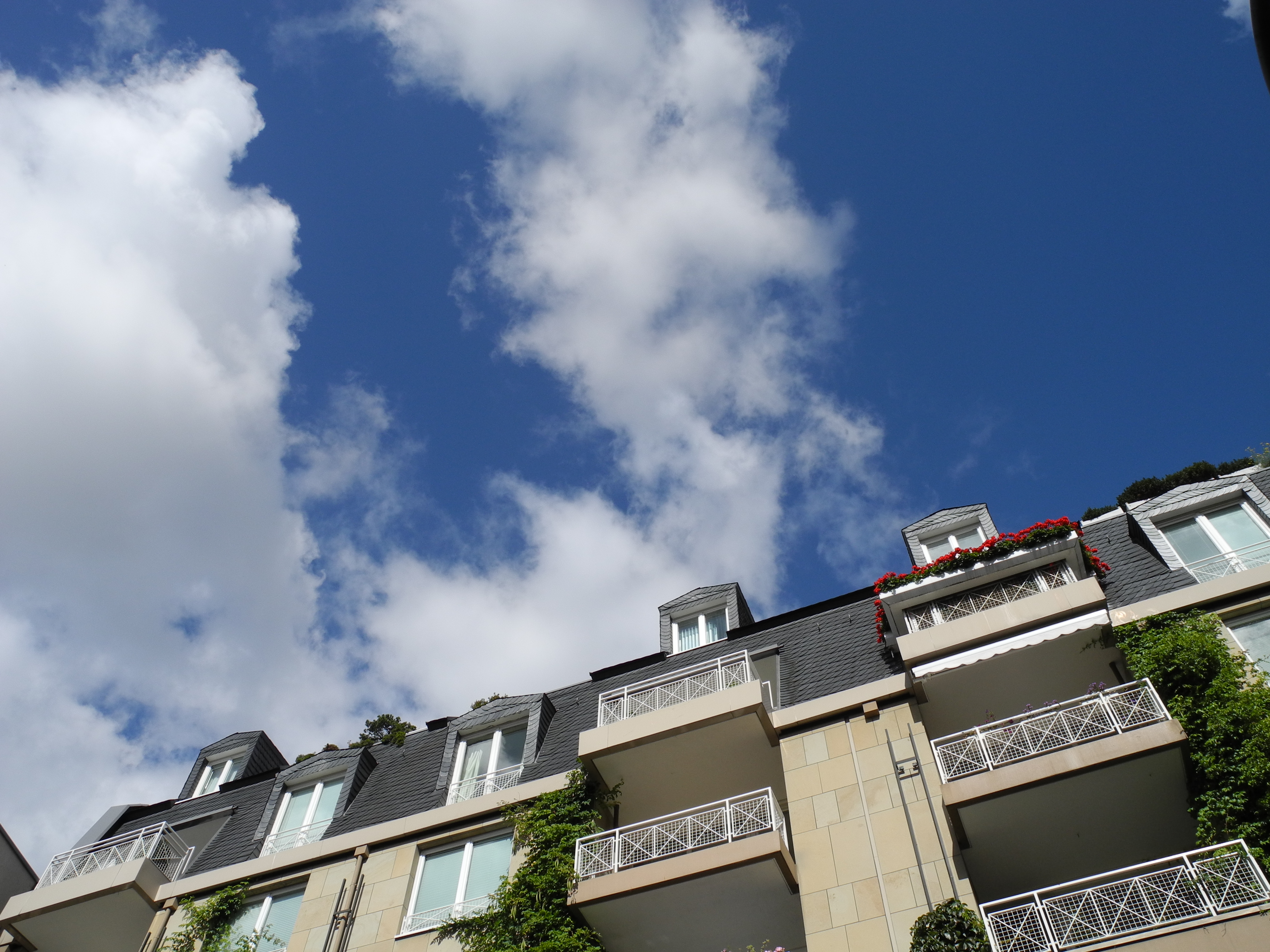 <b>P7000 / 3,648×2,736 / 1/772秒 / F5.6 / 0EV / ISO100 / 絞り優先AE / WB:オート / 6.4mm</b>