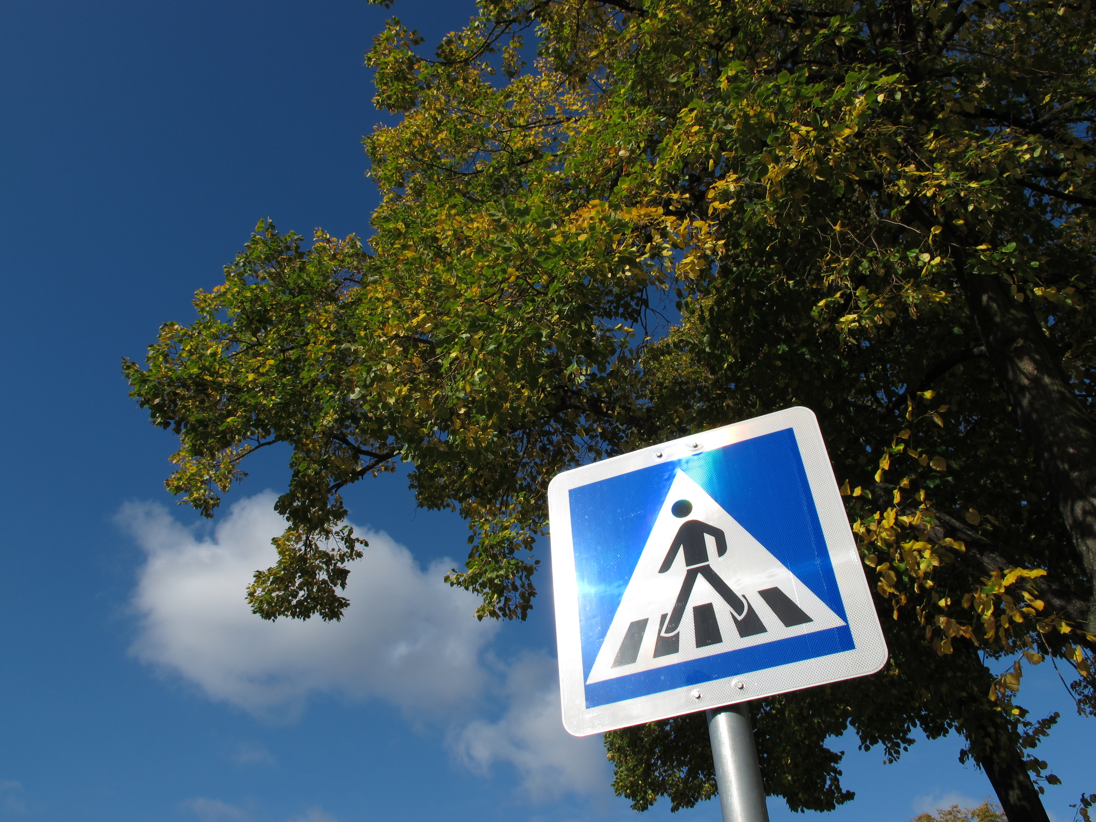 <b>PowerShot G12 / 3,648×2,736 / 1/500秒 / F5.6 / 0EV / ISO80 / 絞り優先AE / WB:オート / 6mm</b>