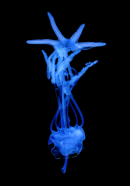 <b>(c)西村陽一郎</b>