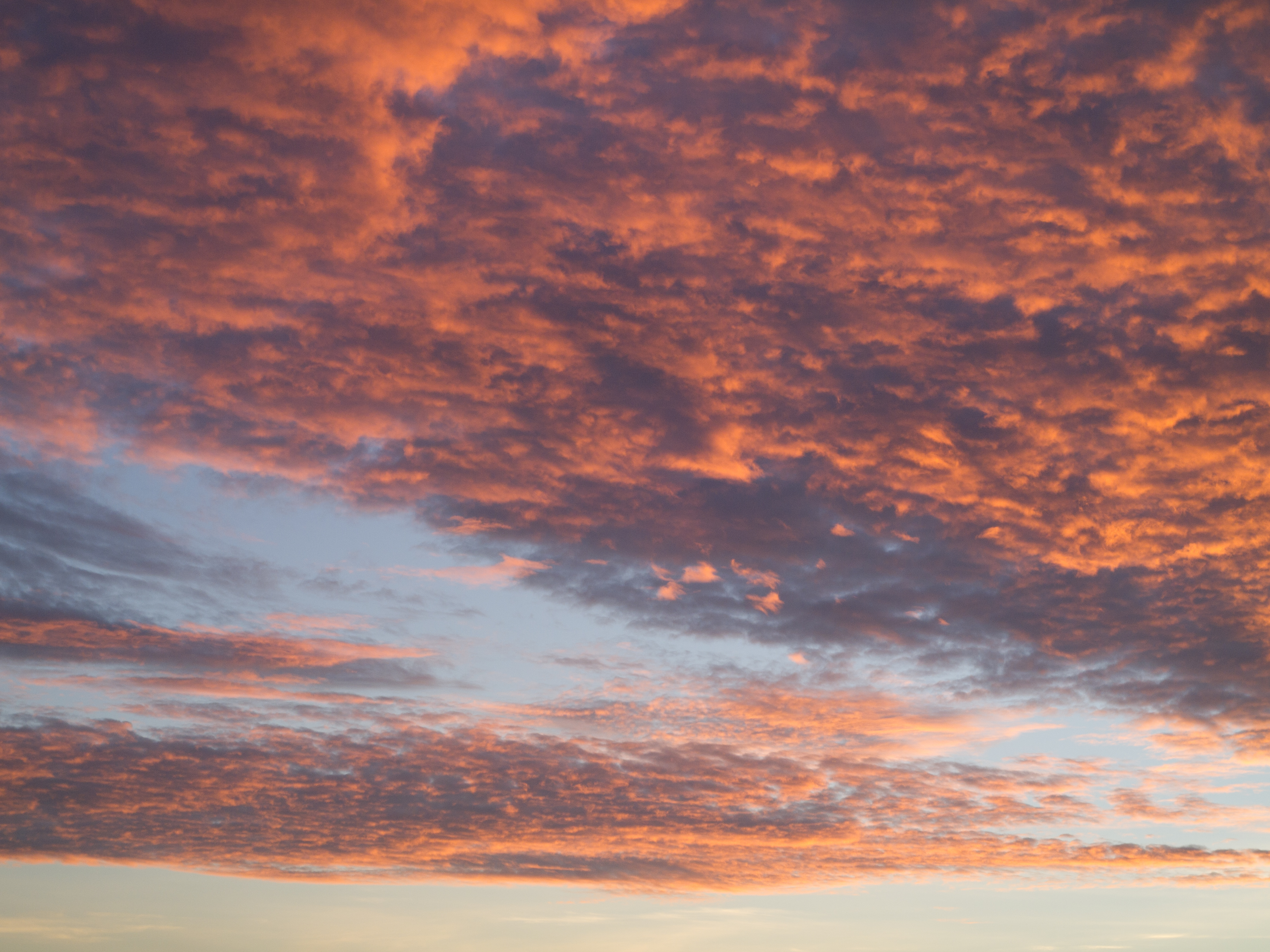 <b>E-PL1 / W-ニッコール・C 3.5cm F2.5 / 4,032×3,024 / 1/50秒 / F8 / 0EV / ISO200 / WB:オート / 35mm</b>