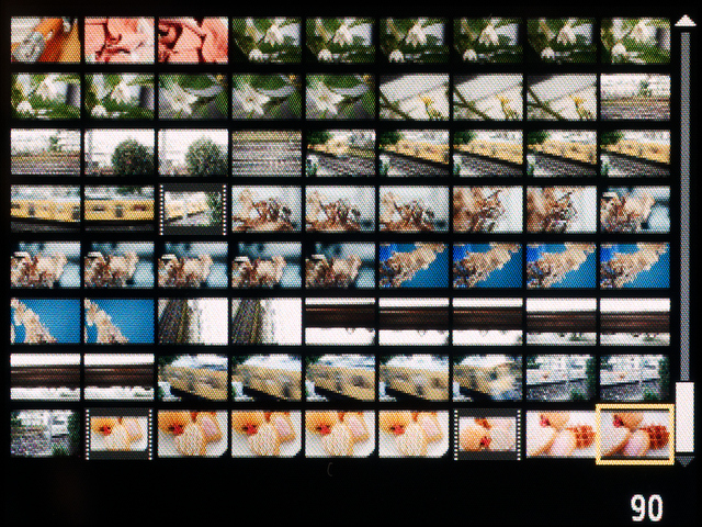 <b>インデックス表示は2×2、3×3の次が急に飛んで9×8の72コマ表示になる。23万ドットなのでちょっと見づらい</b>