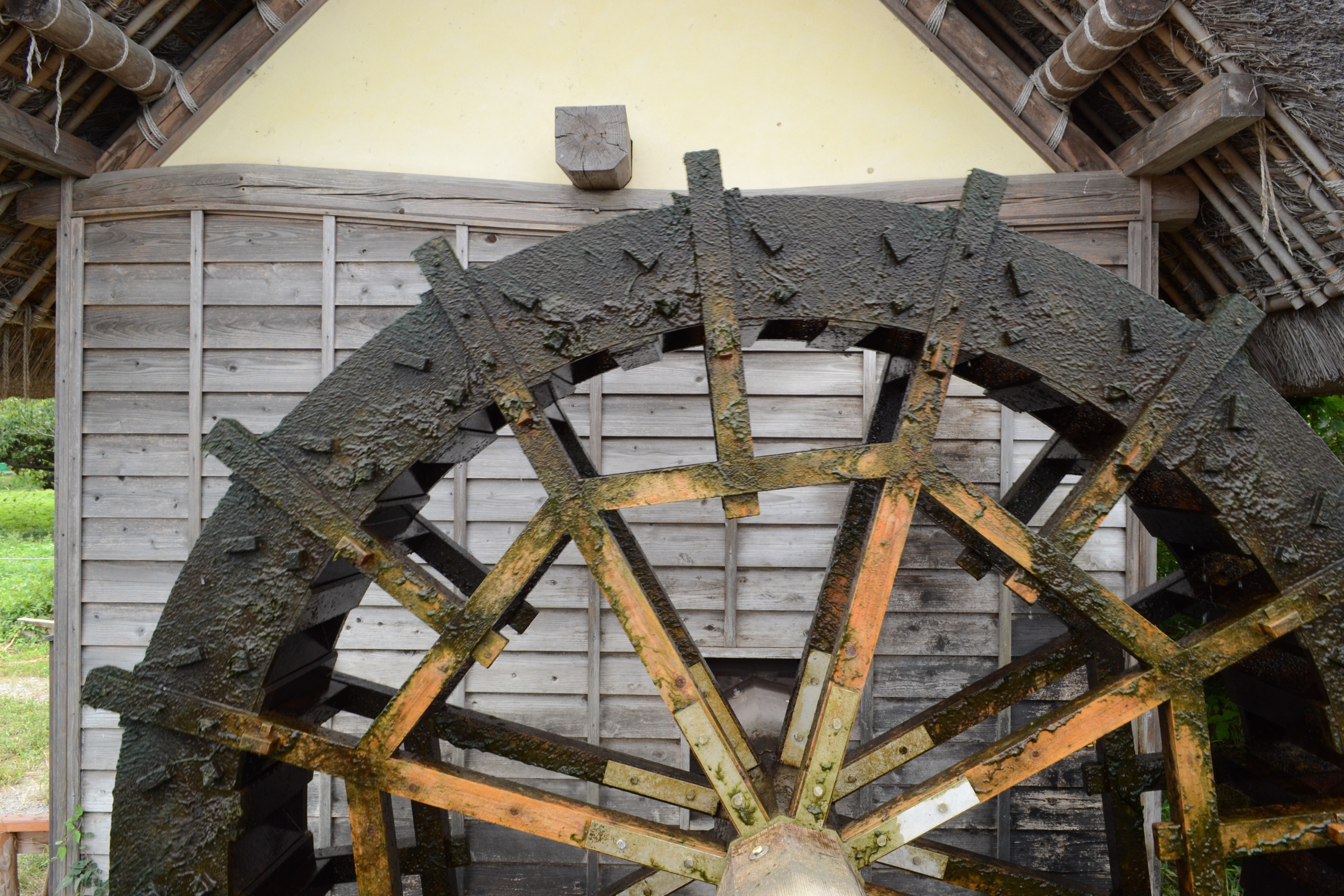 <b>ISO400<br>D3100 / AF-S DX NIKKOR 18-55mm F3.5-5.6 G VR / 4,608×3,072 / 絞り優先AE / 1/80秒 / F11 / 0.3EV / WB:晴天 / 18mm（27mm相当）</b>