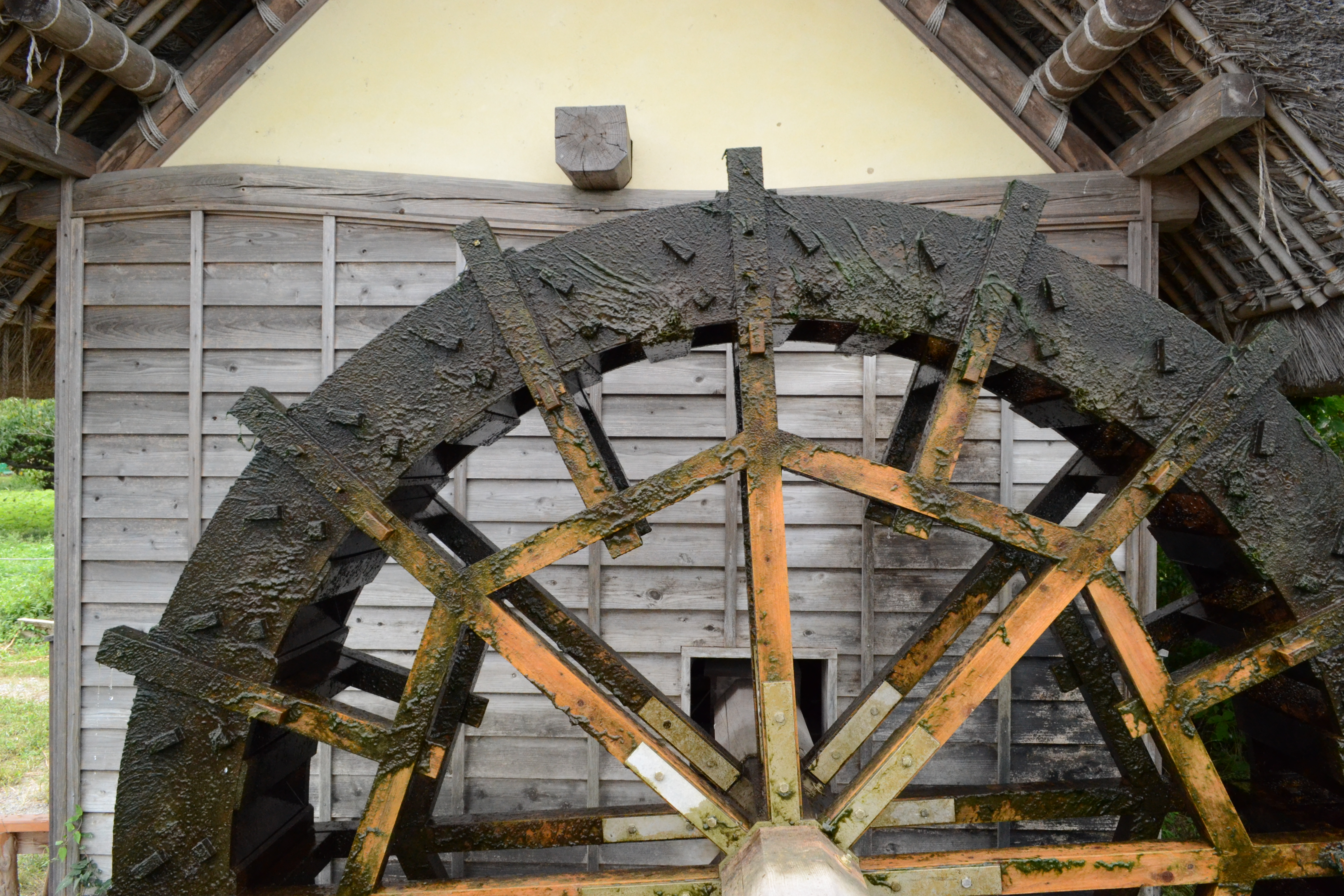 <b>ISO1600<br>D3100 / AF-S DX NIKKOR 18-55mm F3.5-5.6 G VR / 4,608×3,072 / 絞り優先AE / 1/320秒 / F11 / 0.3EV / WB:晴天 / 18mm（27mm相当）</b>