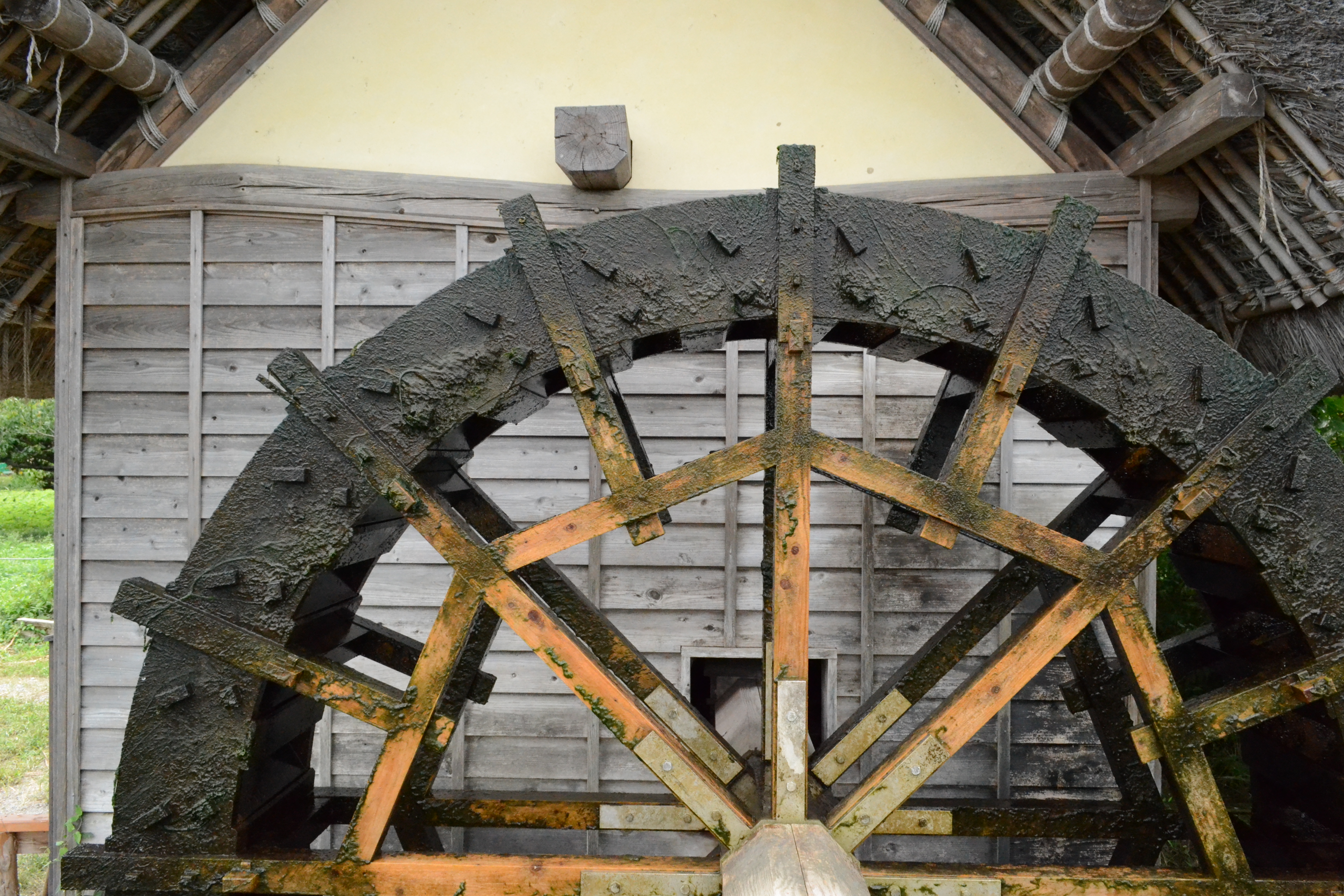 <b>ISO3200<br>D3100 / AF-S DX NIKKOR 18-55mm F3.5-5.6 G VR / 4,608×3,072 / 絞り優先AE / 1/640秒 / F11 / 0.3EV / WB:晴天 / 18mm（27mm相当）</b>