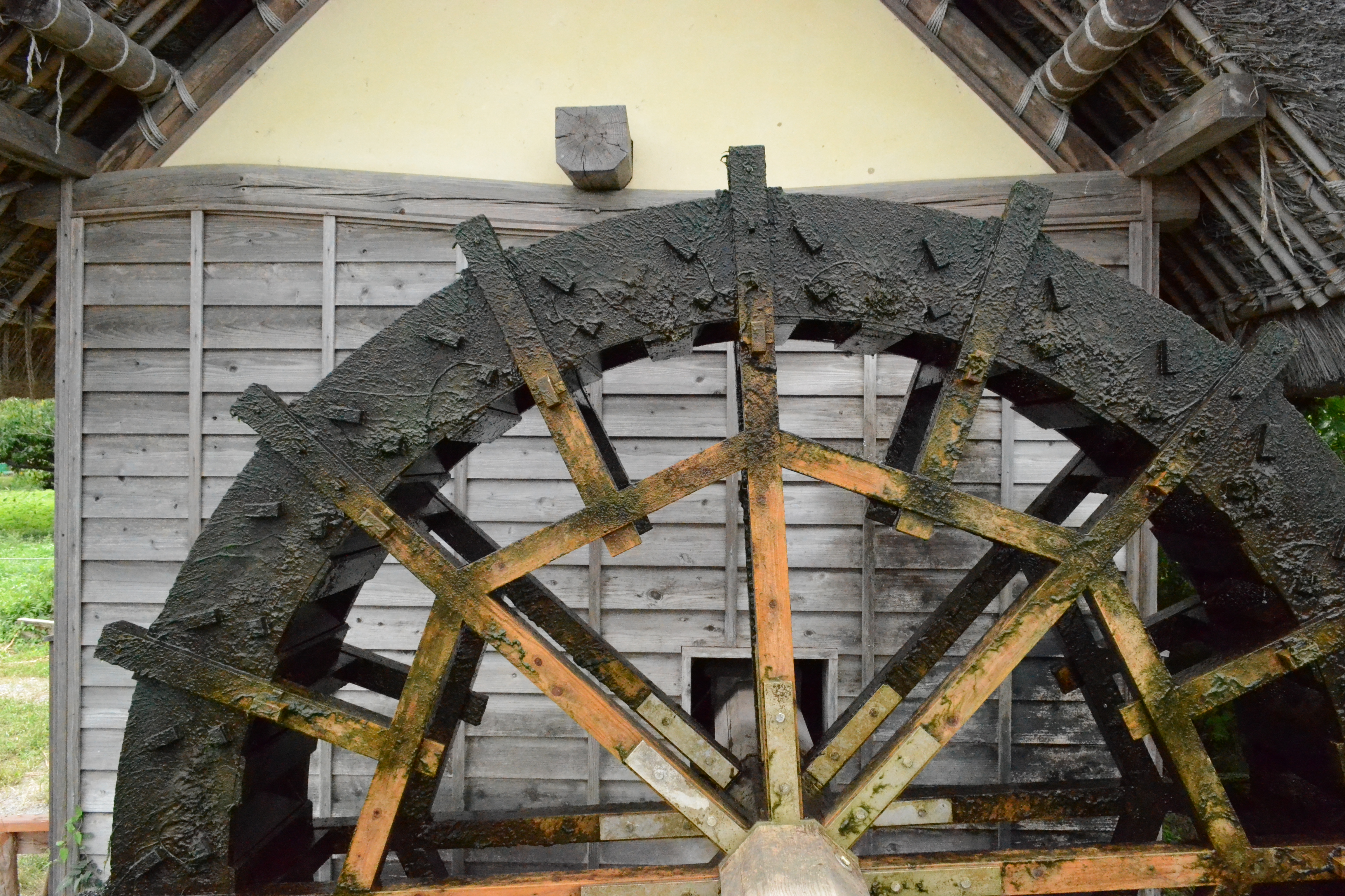 <b>Hi 1（ISO6400相当）<br>D3100 / AF-S DX NIKKOR 18-55mm F3.5-5.6 G VR / 4,608×3,072 / 絞り優先AE / 1/1250秒 / F11 / 0.3EV / WB:晴天 / 18mm（27mm相当）</b>