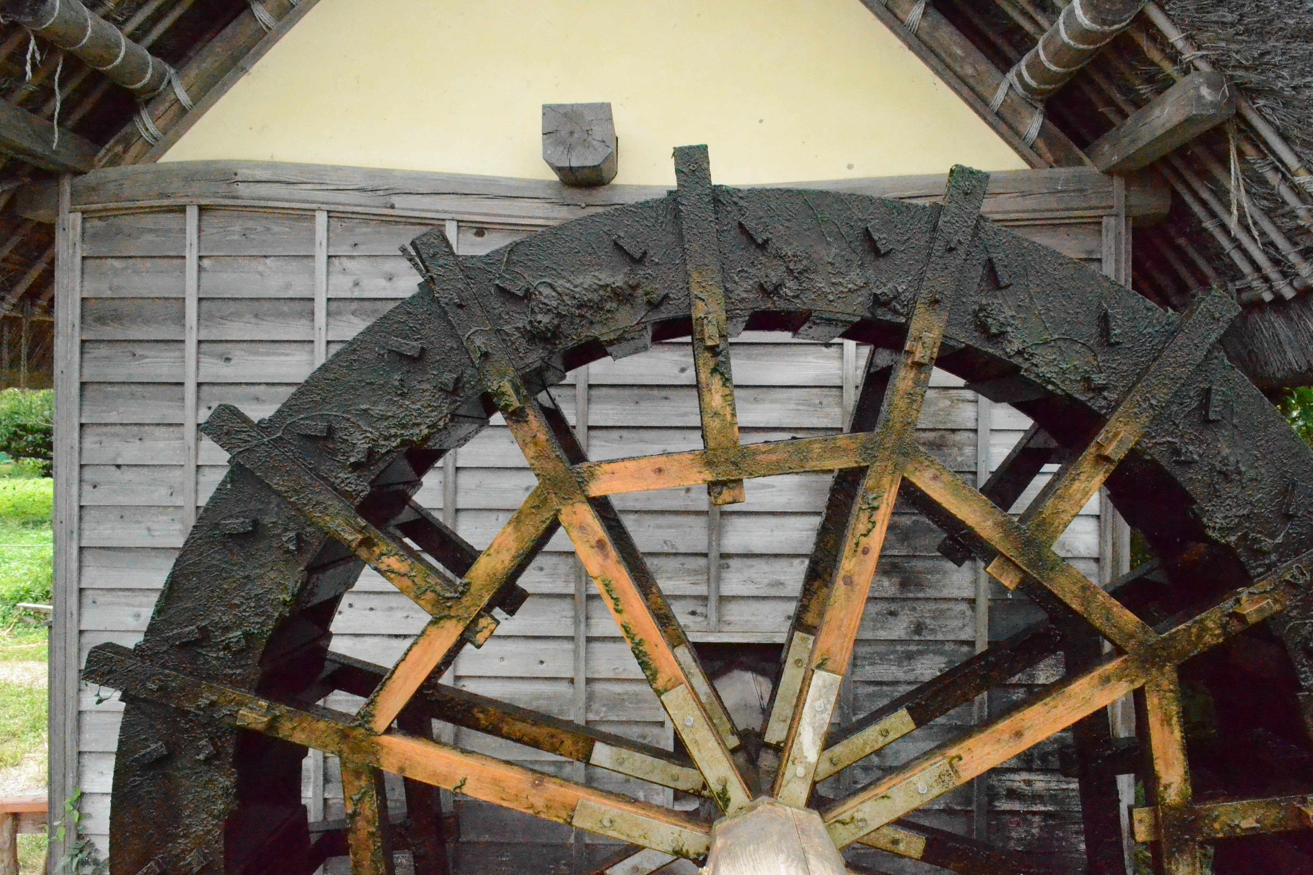 <b>Hi 2（ISO12,800相当）<br>D3100 / AF-S DX NIKKOR 18-55mm F3.5-5.6 G VR / 4,608×3,072 / 絞り優先AE / 1/3200秒 / F11 / 0.3EV / WB:晴天 / 18mm（27mm相当）</b>