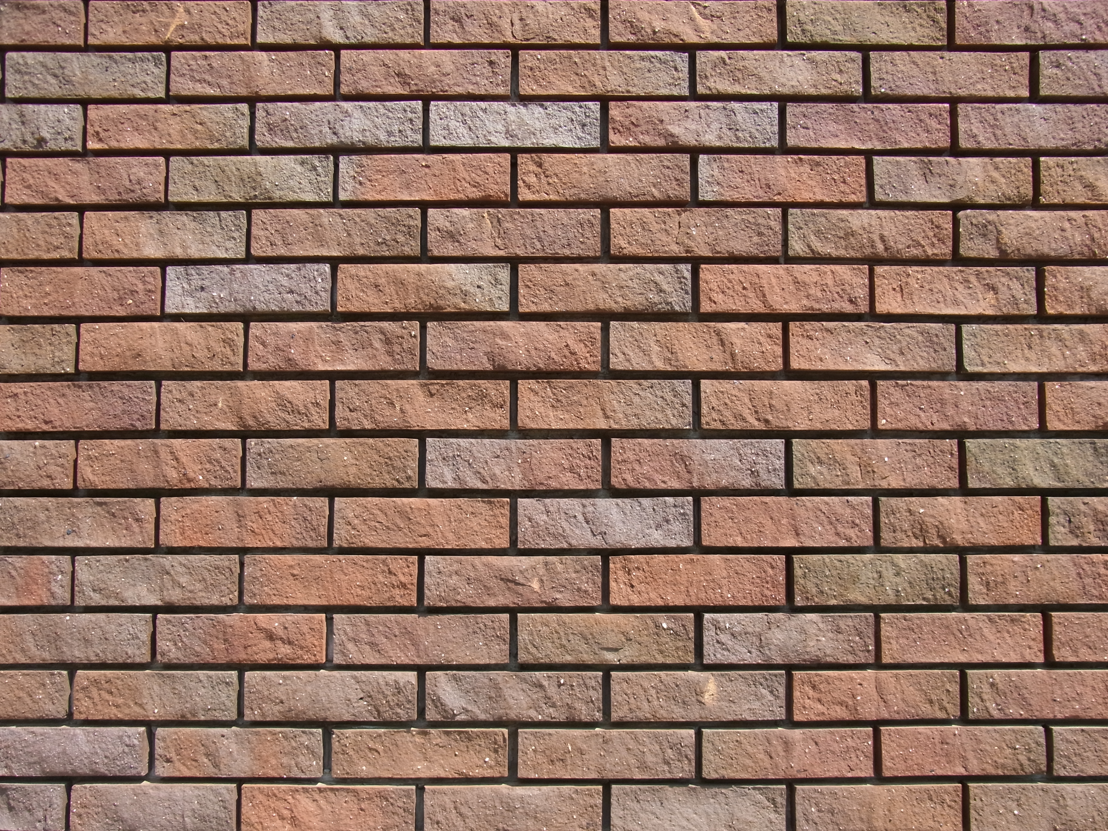 <b>広角端<br>CX4 / 約3.8MB / 3,648×2,736 / 1/760秒 / F3.5 / 0EV / ISO100 / WB:オート / 4.9mm</b>