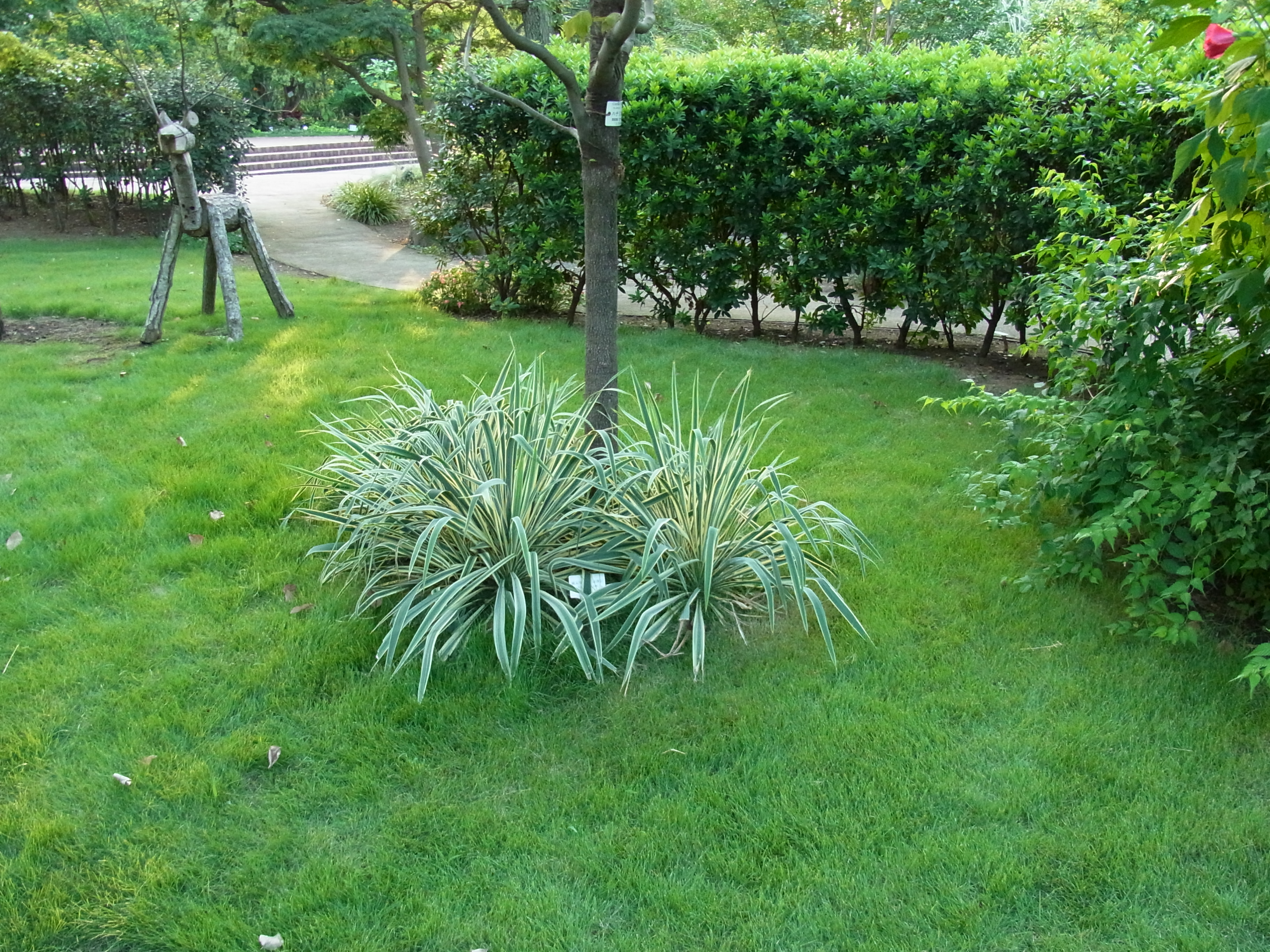 <b>ISO400<br>CX4 / 約3.6MB / 3,648×2,736 / 1/143秒 / F3.5 / 0EV / WB:屋外 / 4.9mm</b>