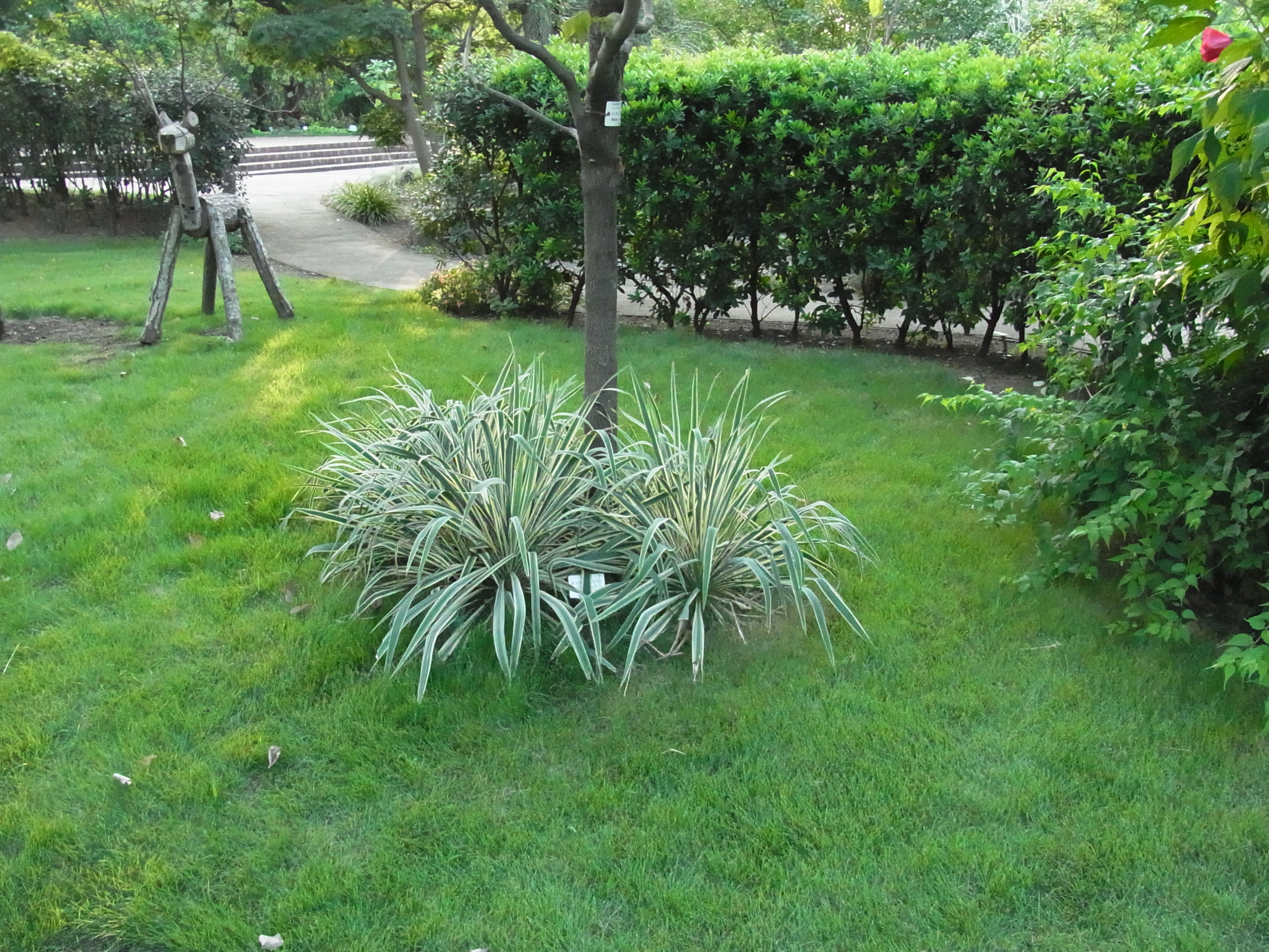 <b>ISO1600<br>CX4 / 約3.5MB / 3,648×2,736 / 1/570秒 / F3.5 / 0EV / WB:屋外 / 4.9mm</b>