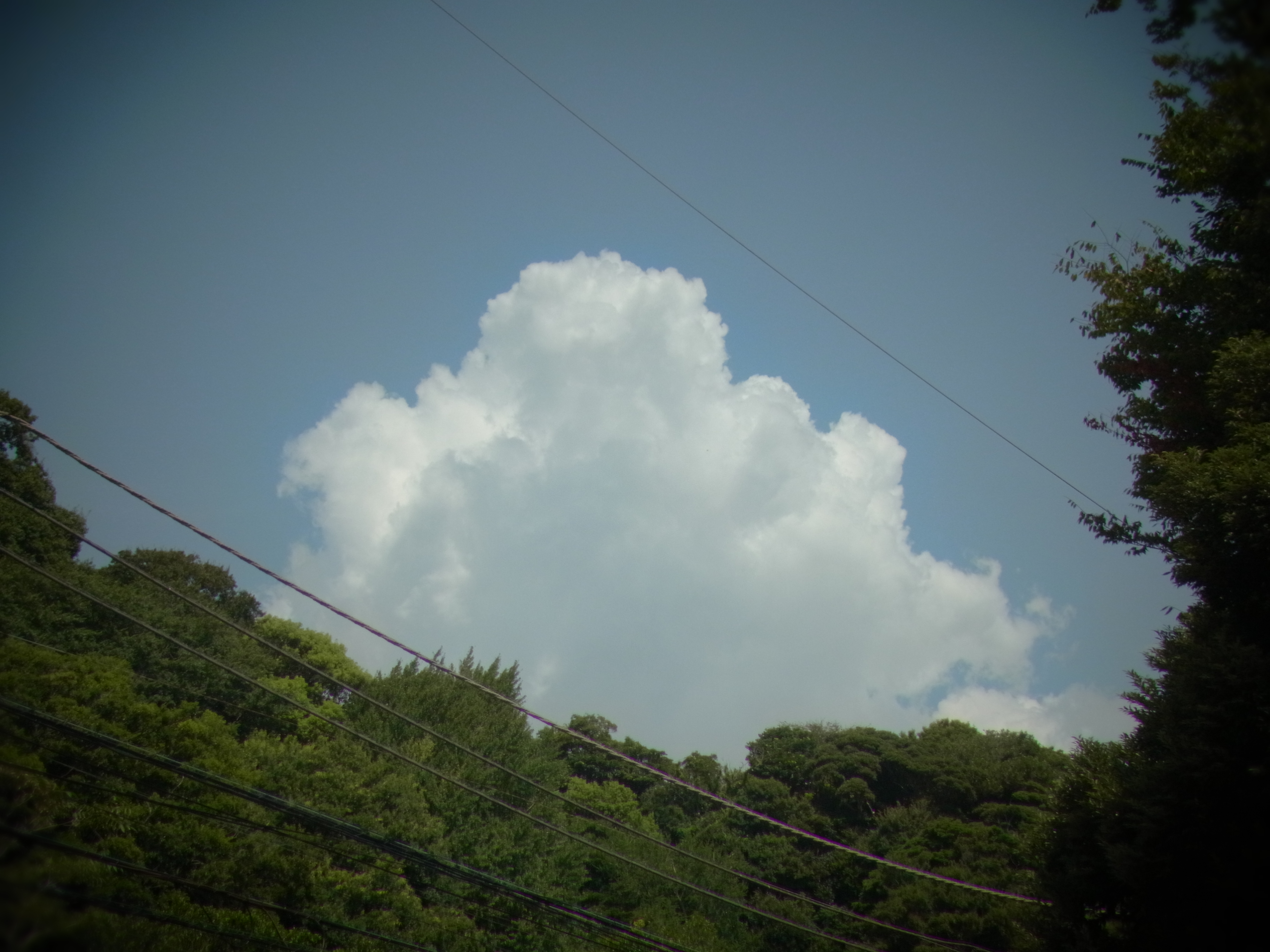 <b>トイカメラ（周辺減光：強）トイカラーOFF<br>CX4 / 約3.2MB / 3,648×2,736 / 1/570秒 / F8.7 / 0EV / ISO100 / WB:オート / 8.7mm</b>