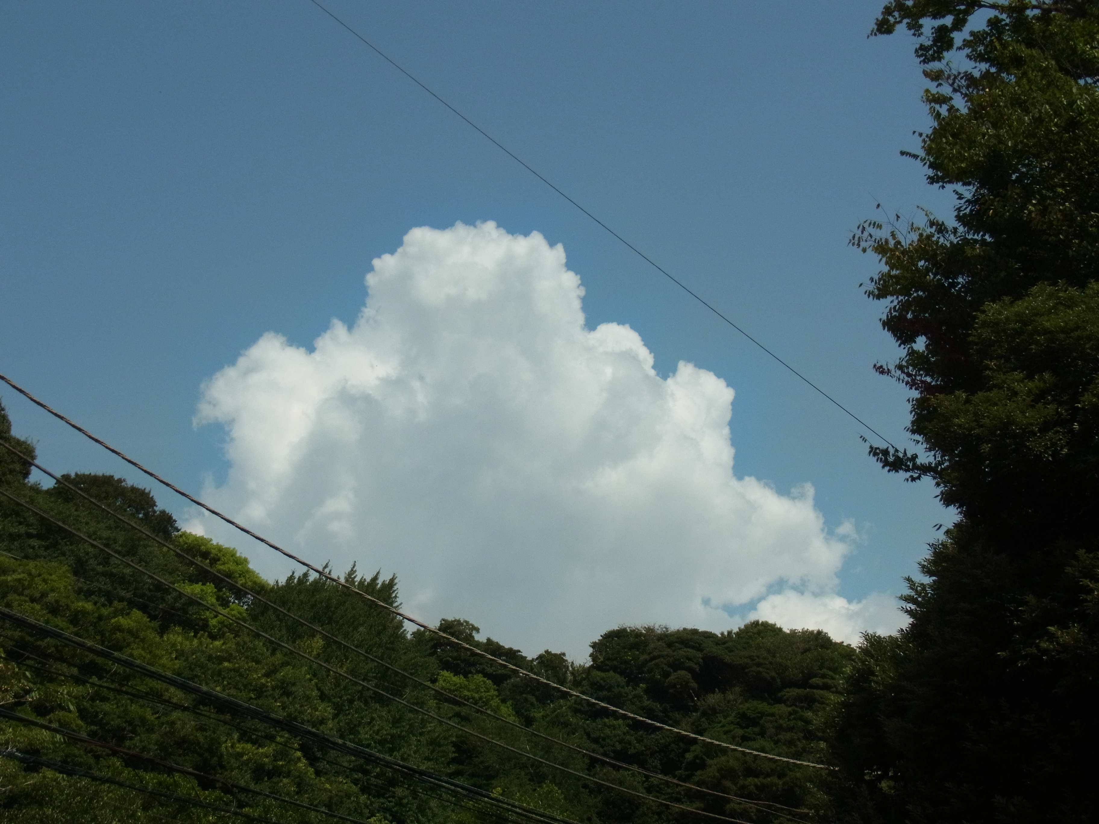 <b>通常撮影<br>CX4 / 約3.5MB / 3,648×2,736 / 1/570秒 / F8.7 / 0EV / ISO100 / WB:オート / 8.7mm</b>