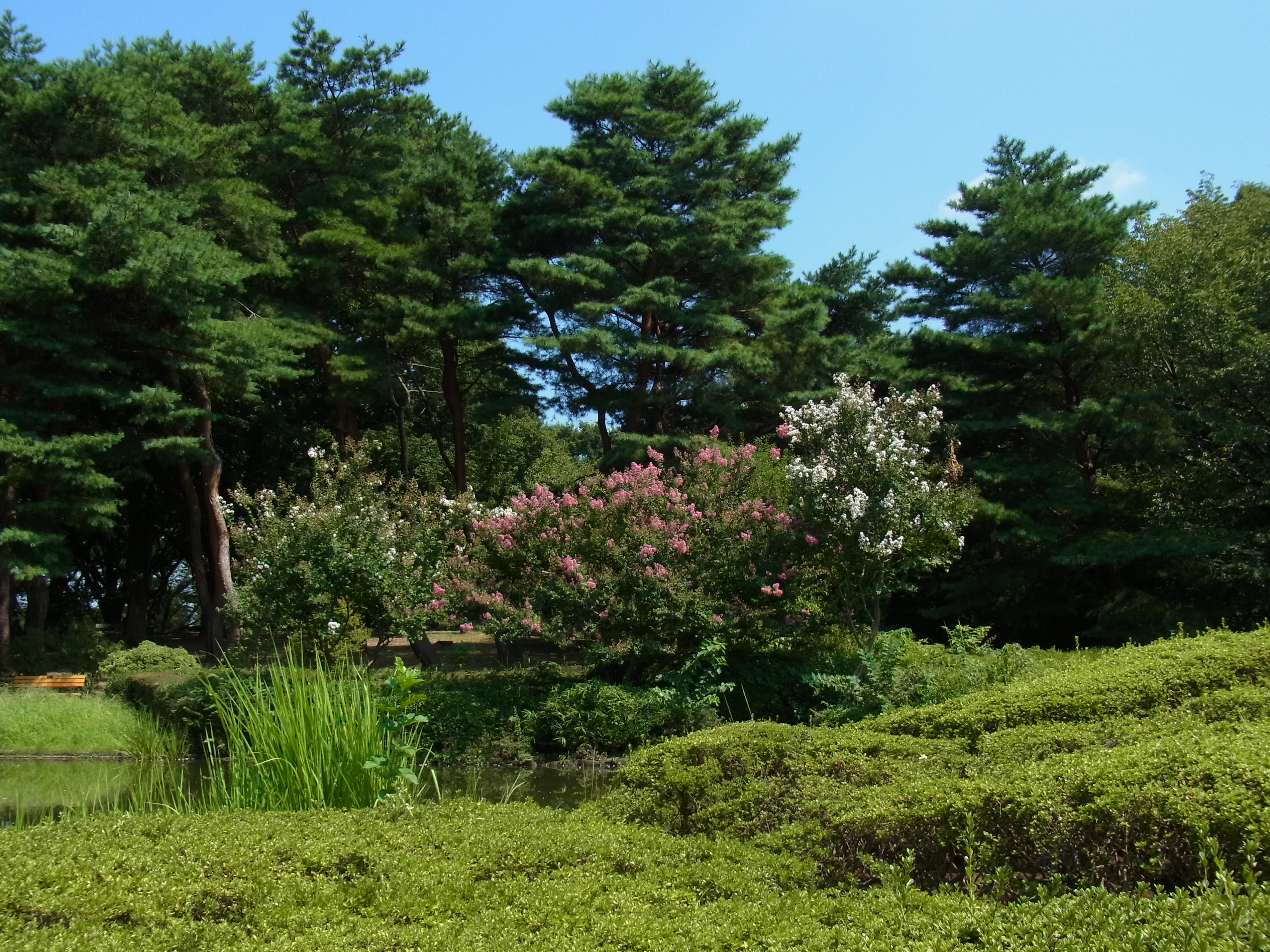 <b>画像設定：スタンダード<br>CX4 / 約3.7MB / 3,648×2,736 / 1/1,000秒 / F4 / -0.3EV / ISO100 / WB:屋外 / 6.1mm</b>