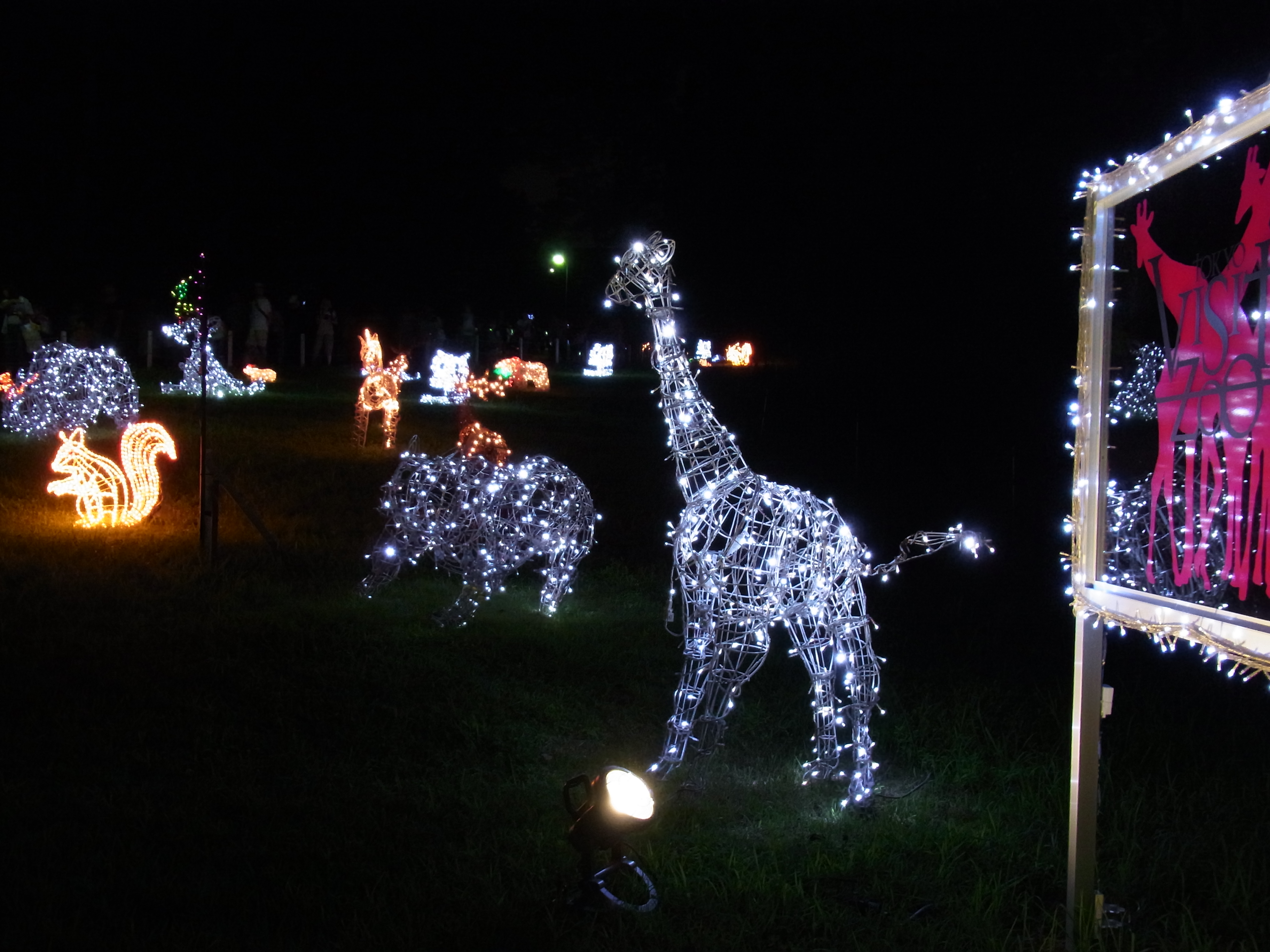 <b>夜景マルチショット（フォーカス「スナップ」）<br>CX4 / 約3.4MB / 3,648×2,736 / 1/10秒 / F4 / 0EV / ISO497 / WB:蛍光灯 / 6.1mm</b>