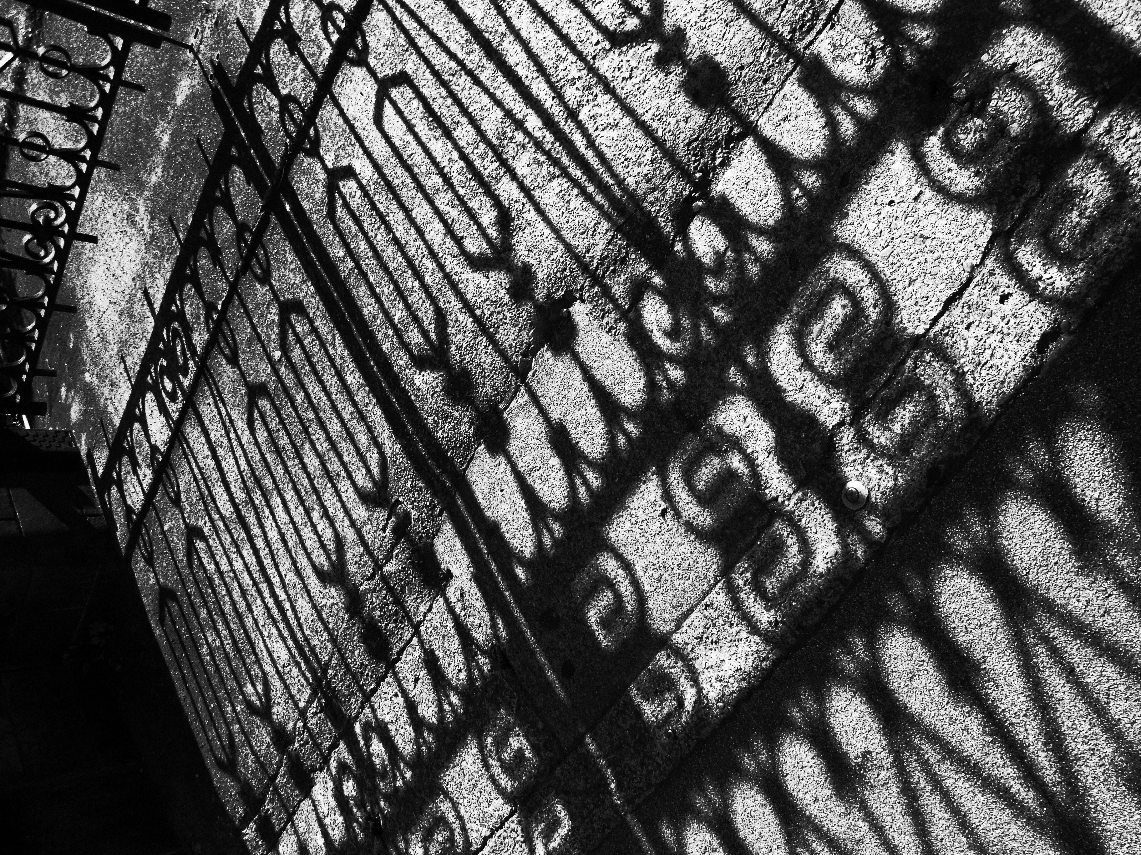 <b>ハイコントラスト白黒<br>CX4 / 約3.2MB / 2,736×3,648 / 1/620秒 / F3.5 / 0EV / ISO100 / WB:オート / 4.9mm</b>