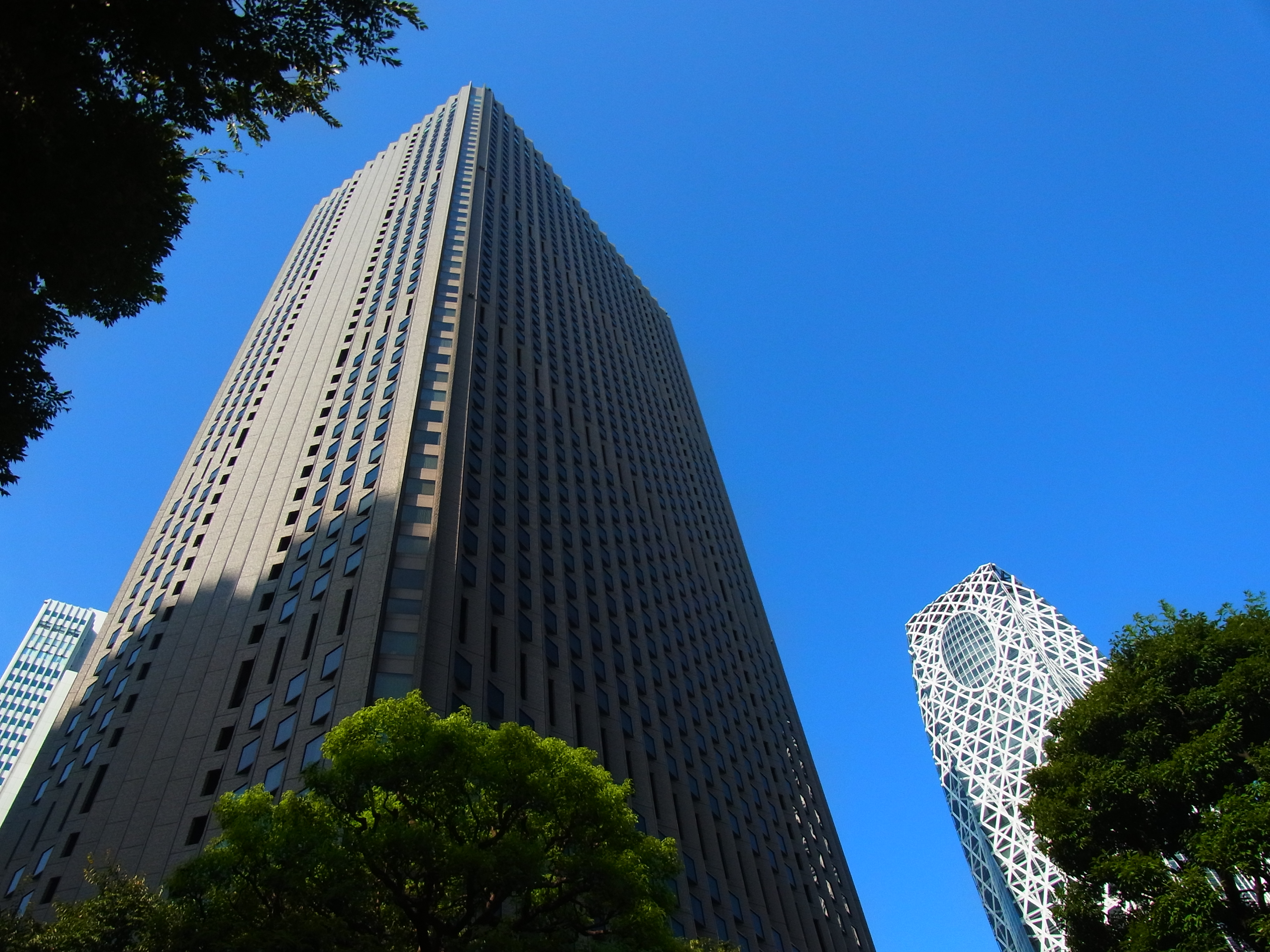 <b>画像設定：ビビッド<br>CX4 / 約3.6MB / 3,648×2,736 / 1/350秒 / F7 / -0.3EV / ISO100 / WB:オート / 4.9mm</b>