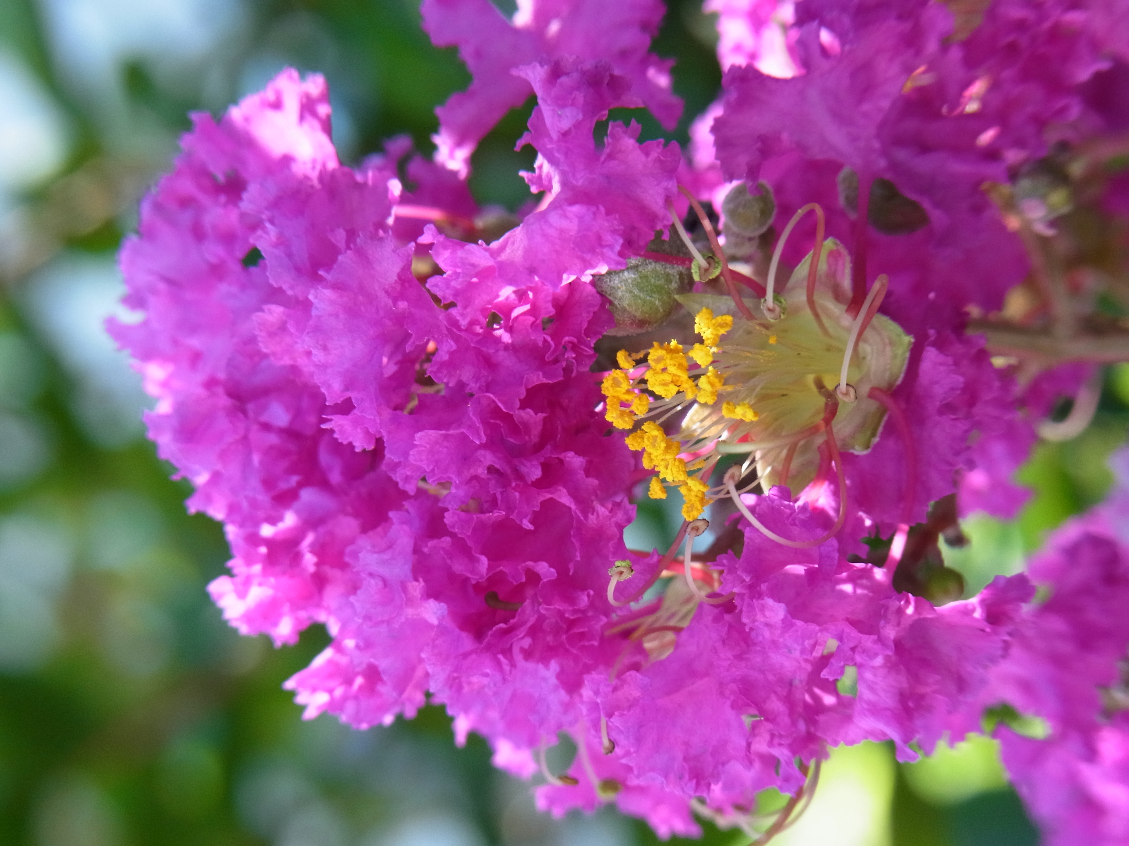 <b>CX4 / 約3.4MB / 2,736×3,648 / 1/143秒 / F5.1 / 0EV / ISO161 / WB:オート / 23.6mm</b>