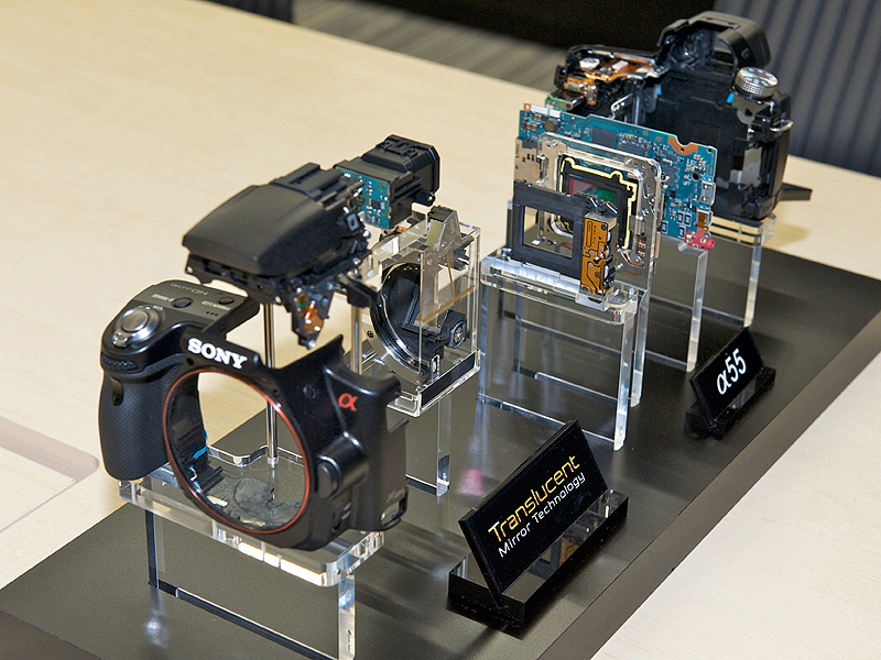 <b>α55の分解モデル</b>