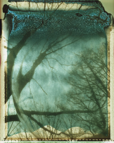 <b>(c)田中孝道</b>