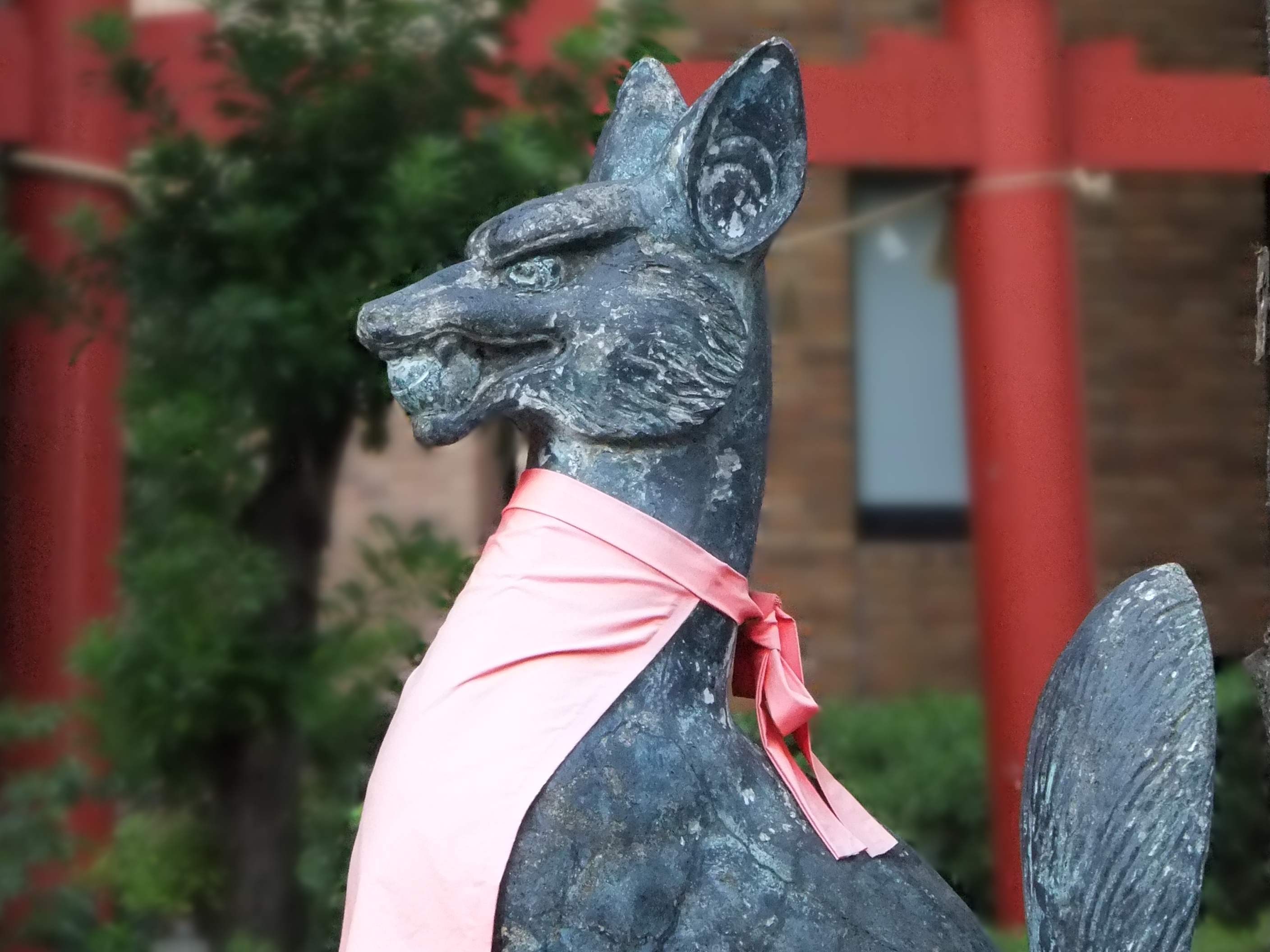 <b>ぼかしコントロールON<br>FinePix F300EXR / 約2.5MB / 2816x2112 / 1/50秒 / F6.1 / -0.3EV / ISO800 / WB:オート / 41.7mm</b>