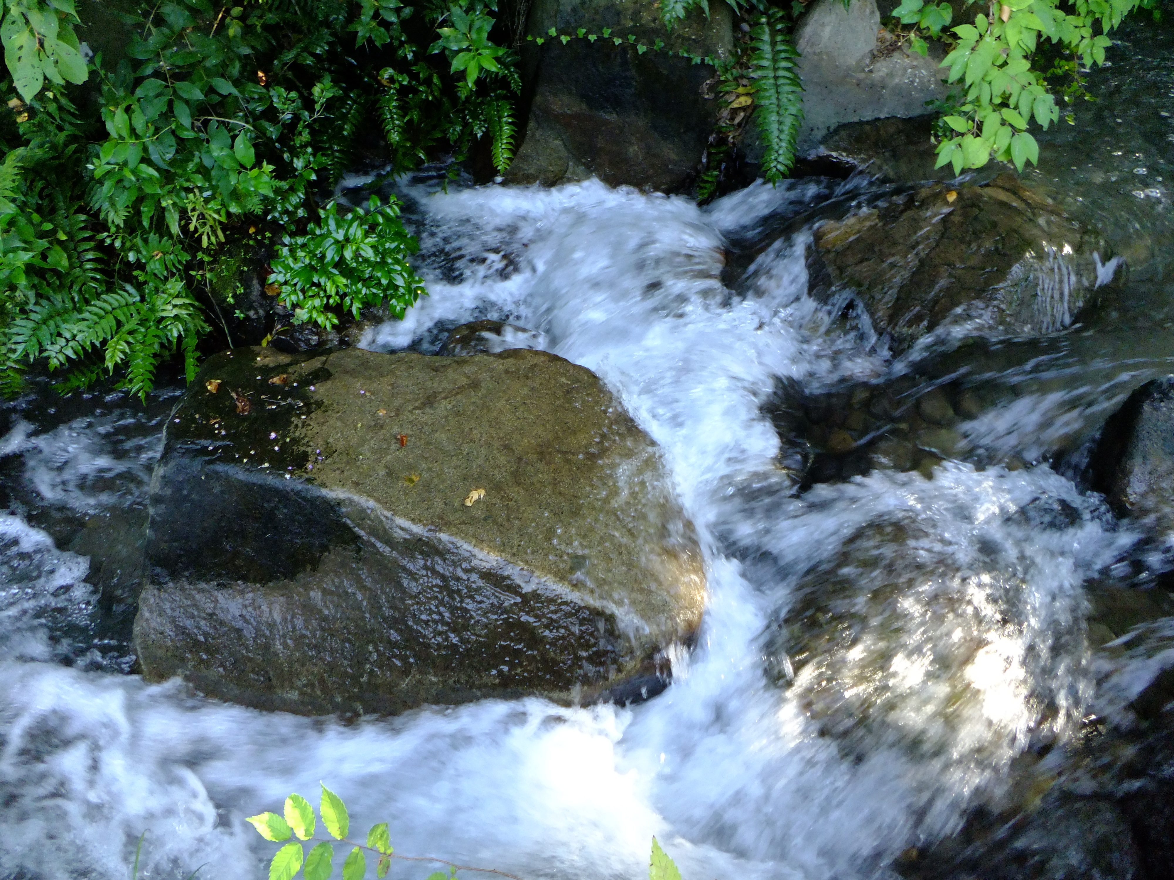 <b>FinePix F300EXR / 約4.4MB / 4,000×3,000 / 1/60秒 / F3.5 / -0.3EV / ISO200 / WB:晴天 / 4.4mm</b>