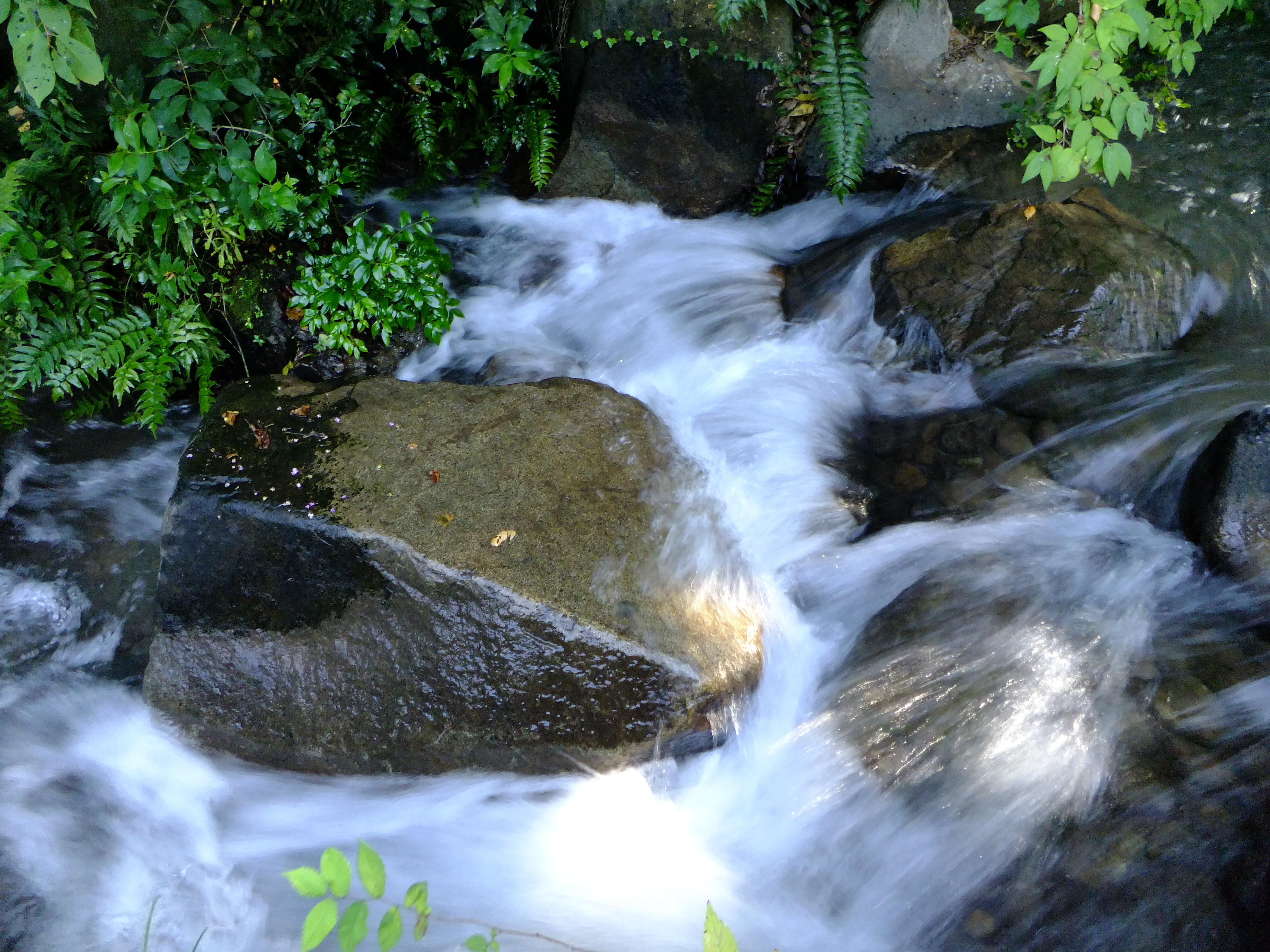 <b>FinePix F300EXR / 約4.3MB / 4,000×3,000 / 1/15秒 / F7.1 / -0.3EV / ISO200 / WB:晴天 / 4.4mm</b>