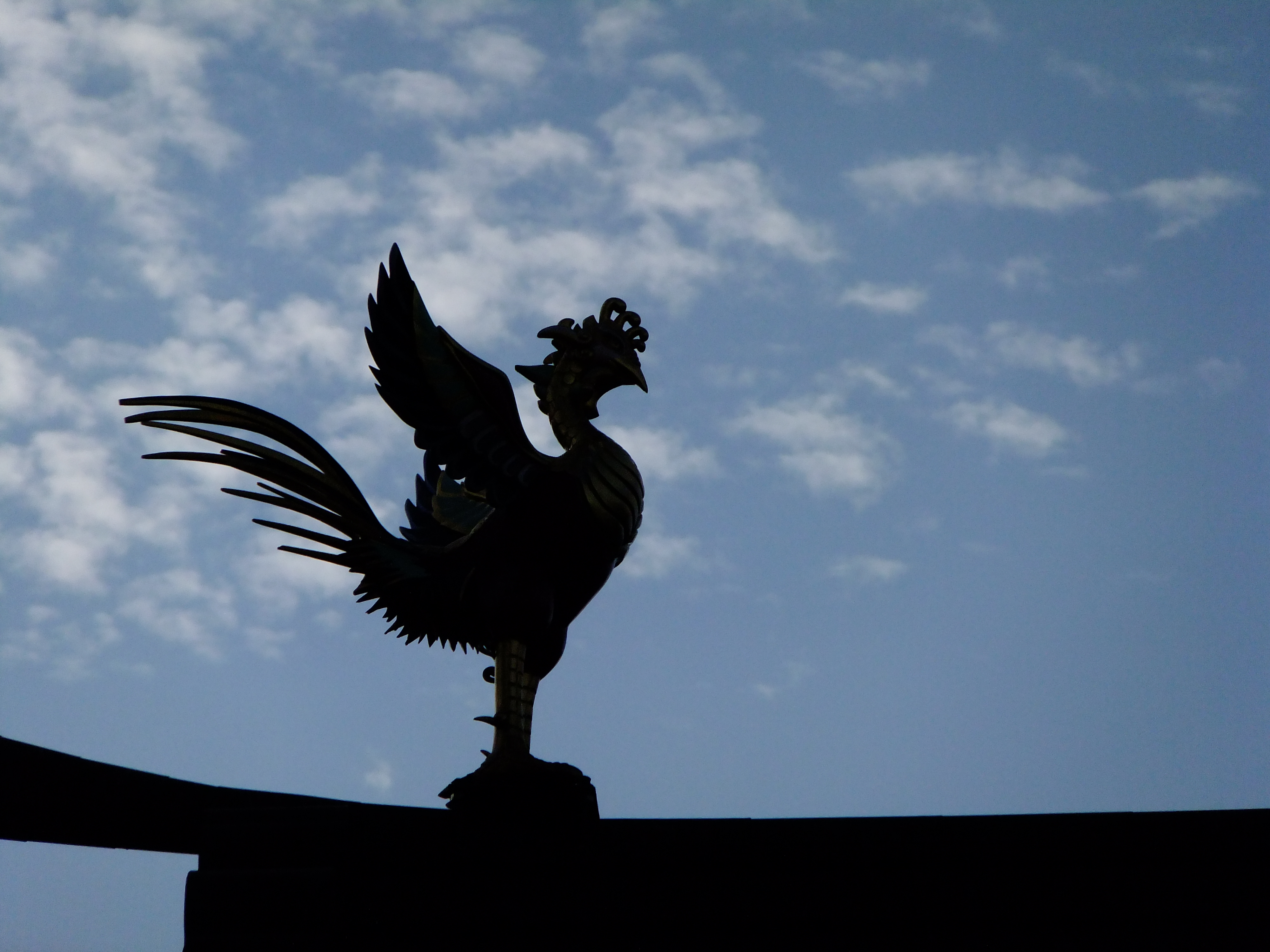 <b>FinePix F300EXR / 約3.8MB / 4,000×3,000 / 1/750秒 / F11 / -0.7EV / ISO200 / WB:晴天 / 66mm</b>