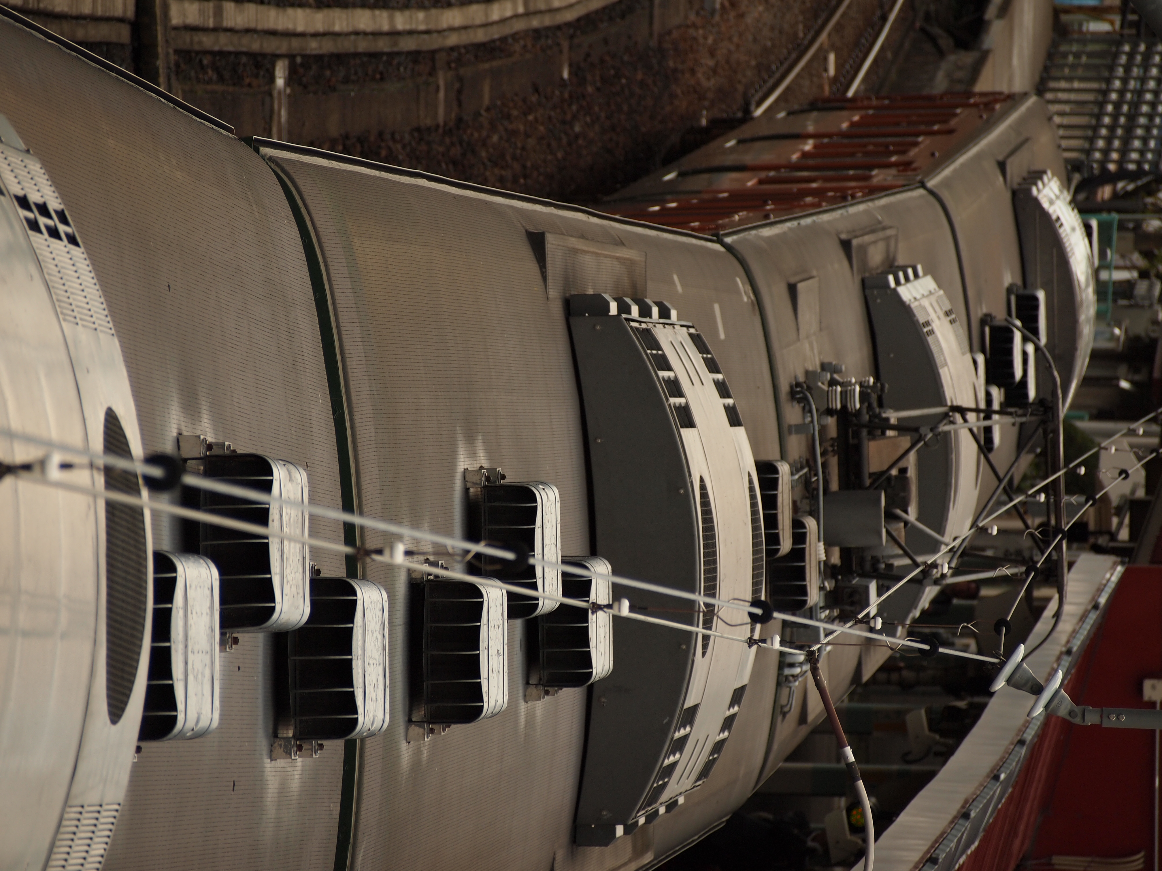 <b>E-PL1 / M.ZUIKO DIGITAL ED 40-150mm F4-5.6 / 約6.9MB / 3,024×4,032 / 1/400秒 / F5.6 / -0.7EV / ISO200 / WB:日陰 / 150mm</b>