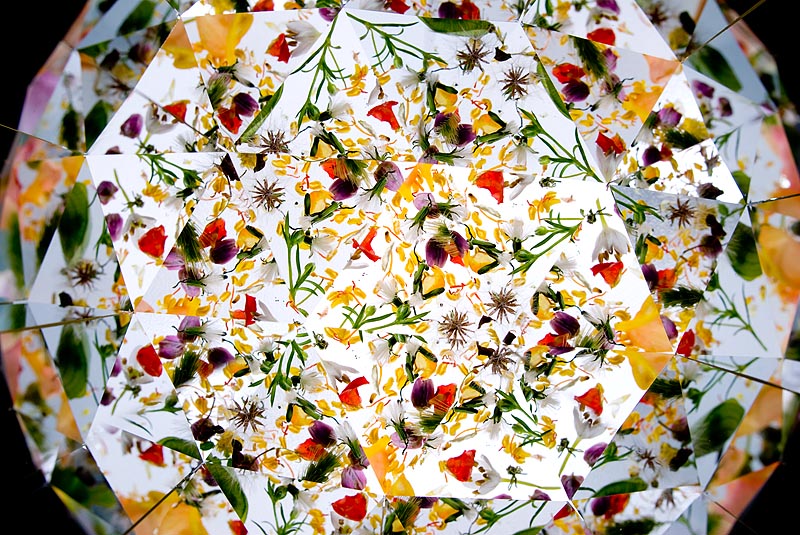 <b>テーパードミラーシステムで撮影した写真。透過光で撮影しているので、鮮やかな色再現になっている。ニコンD200+シグマ28mm F1.8 EX DG Aspherical Macro</b>