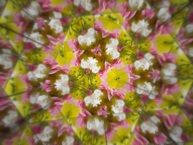 <b>アクリル製の鏡で撮影。表面反射鏡ではなく、裏面に蒸着したもの。反射を繰り返し、外側に行くほど、暗くなり、クリアではなくなっていく</b>