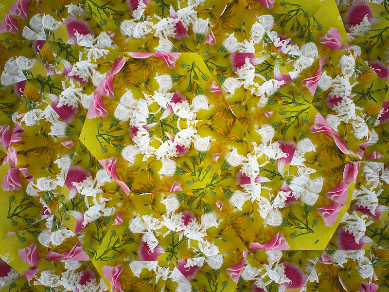 <b>ガラス製の表面反射鏡で撮影。アクリル製の鏡と比べると画質はかなり違う。これを見てしまうと、扱いは面倒でもガラス製の表面反射鏡を使いたくなってしまう</b>