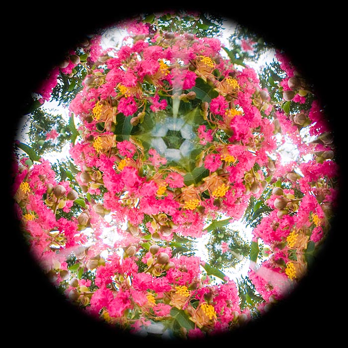 <b>テレイドスコープを使って撮影したサルスベリの花。撮影後に丸くトリミング。ニコンD300+シグマ28mm F1.8 EX DG Aspherical Macro</b>