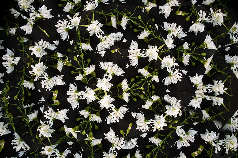 <b>35mm換算レンズ焦点距離39mm。ギリギリケラレはなくなった。D5000+AF-S Nikkor 18-55mm F3.5-5.6 G</b>