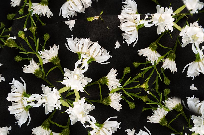 <b>35mm換算レンズ焦点距離82mm。ケラレてはいないが、万華鏡のパターンは少なくなってしまう。D5000+AF-S Nikkor 18-55mm F3.5-5.6 G</b>