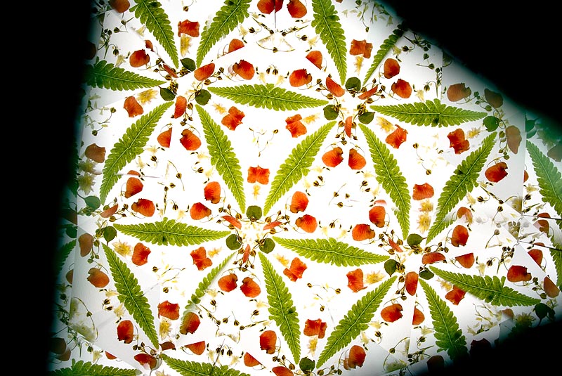 <b>口径の大きなレンズで撮影するとこんな感じでケラレてしまう。D200+シグマ28mm F1.8 EX DG Aspherical Macro</b>