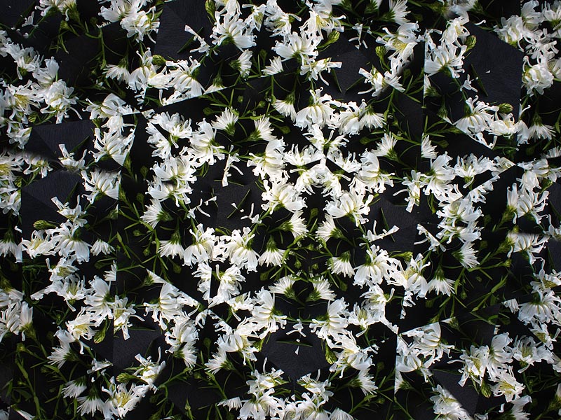 <b>パンケーキレンズで撮影した写真。ノートリミングだがケラレず、良好な状態。オリンパスPEN Lite・E-PL1+M.ZUIKO DIGITAL 17mm F2.8</b>