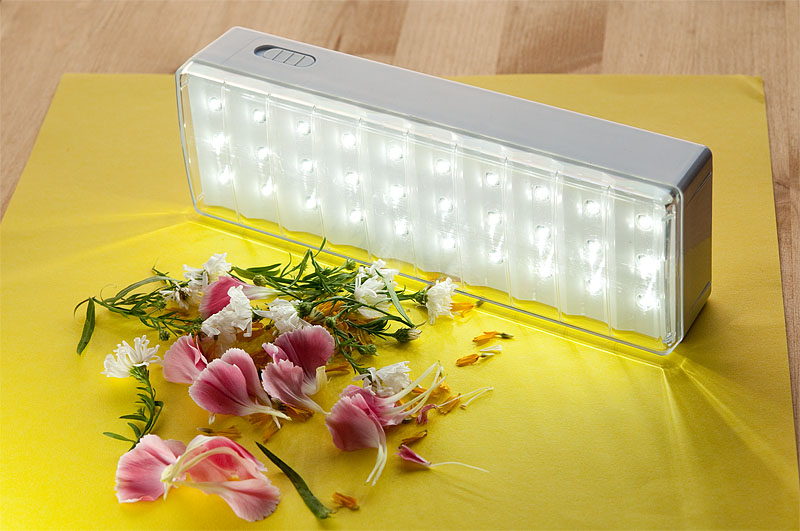 <b>これが安かったLED照明。色温度が高めで青っぽい光だが、マニュアルでホワイトバランスをとればいい。ちょっと暗い時の補助光にいい</b>