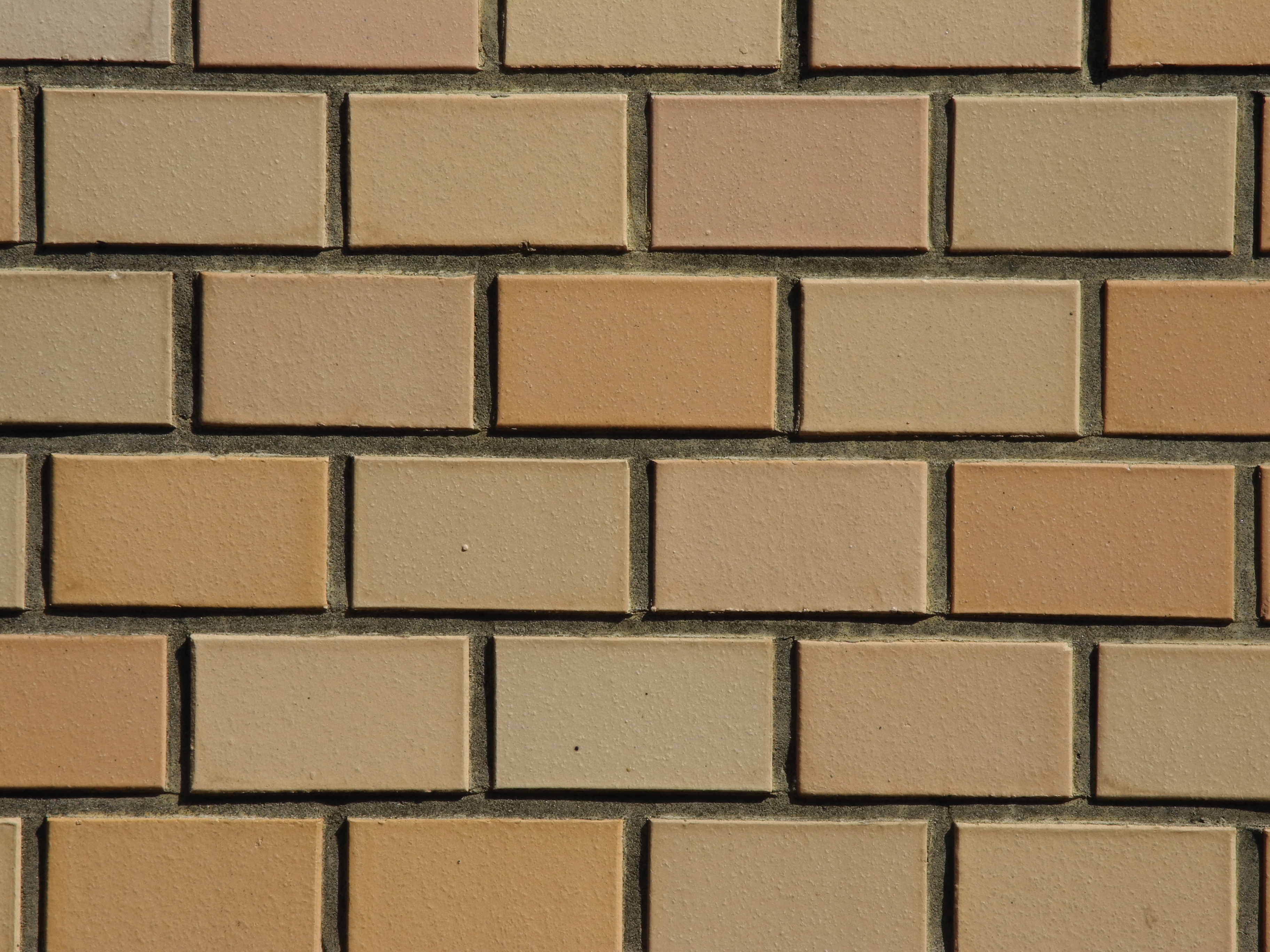 <b>望遠端（ゆがみ補正:オフ）<br>COOLPIX P7000 / 3,648×2,736 / 1/340秒 / F8 / -0.3EV / ISO100 / 絞り優先AE / WB:晴天</b>