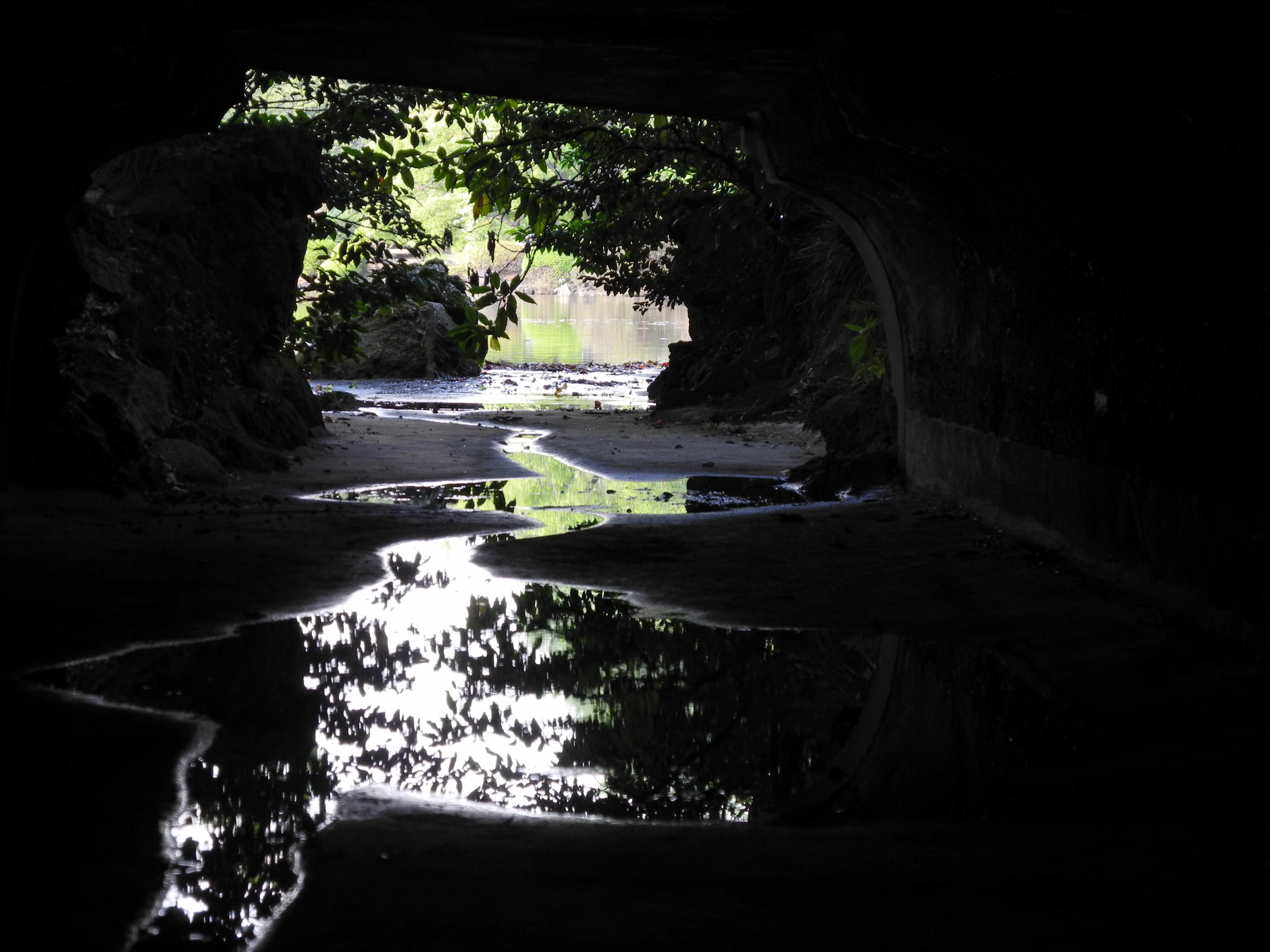 <b>アクティブD-ライティング：標準<br>COOLPIX P7000 / 3,648×2,736 / 1/24秒 / F4.5 / 0EV / ISO100 / プログラムAE / WB:オート / 22.5mm（105mm相当）</b>