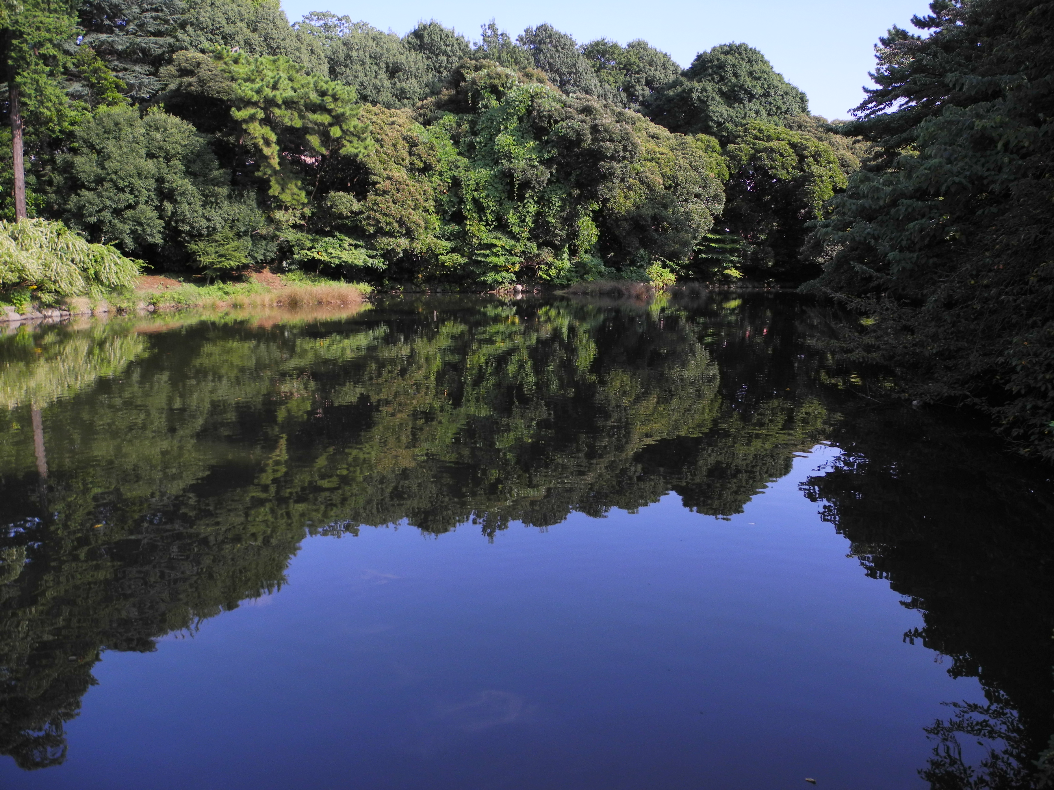<b>四隅は少し乱れるものの、ピントが合った部分の解像感はすごい。レンズと撮像素子とエンジンのマッチングがいいのだろう<br>COOLPIX P7000 / 3,648×2,736 / 1/700秒 / F2.8 / -1.7EV / ISO100 / プログラムAE / WB:オート / 6mm（28mm相当）</b>