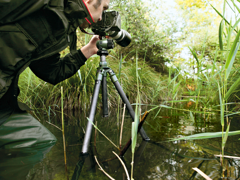 <b>サファリコレクションの使用例</b>
