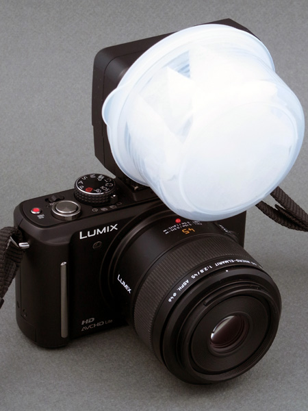 <b>こちらはLEICA DG MACRO-ELMARIT 45mm F2.8 ASPH. MEGA O.I.S.を装着したところだが、もちろんこのレンズにも効果絶大だ。ちょっとトップヘビーに思えるかもしれないが、システム全体としてはコンパクトで使い勝手はなかなかよい</b>