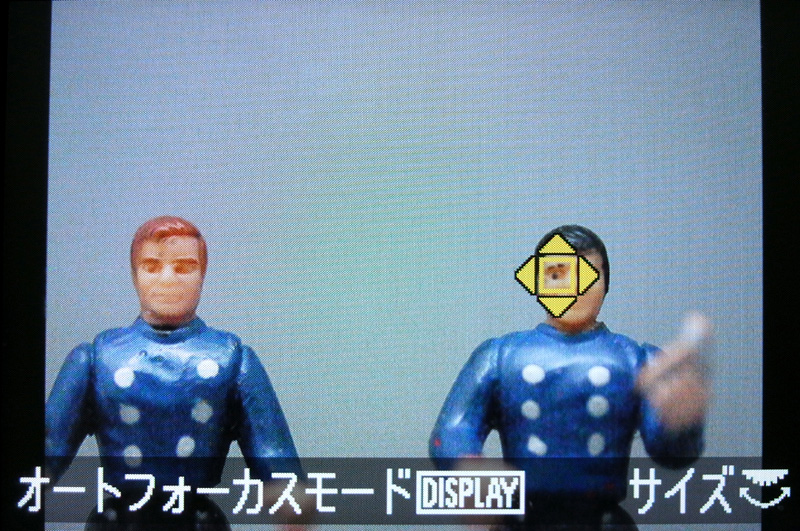 <b>オートフォーカスのフォーカスポイントは十字キー操作で任意の場所に移動できる。画面右下の表示の通り、電子ダイヤル操作でフォーカスポイントのサイズ（範囲）を変更できる点がユニーク（写真は最小にしたところ）</b>