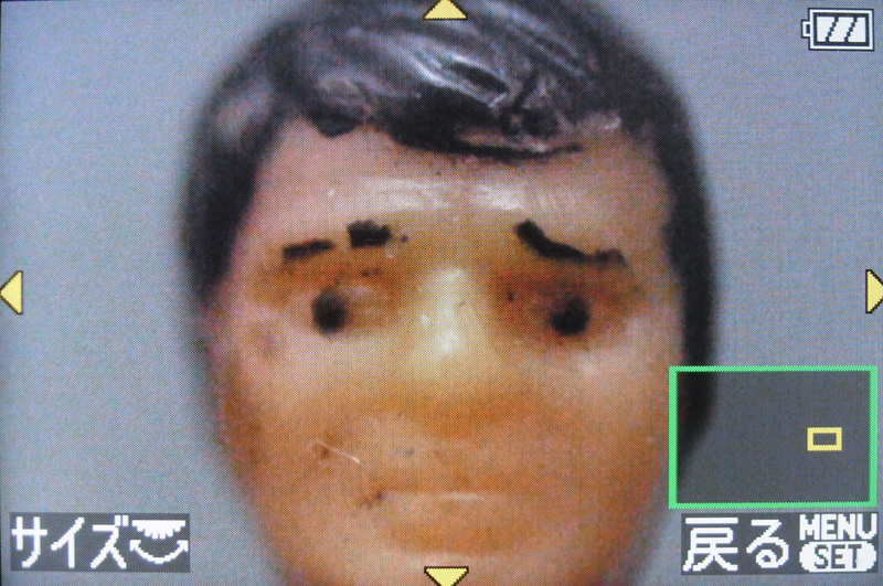 <b>MF時は「MFアシスト」機能により画面の一部が拡大される。拡大ポイントは十字キーで移動させることができ、電子ダイヤルによりサイズ（拡大率）も変更できる。便利な機能だが、問題はシャッター半押しで通常表示に戻ってしまうこと。三脚を使用した撮影には便利だろうが、手持ちのマクロ撮影にこの機能を活かすのは難しい。</b>