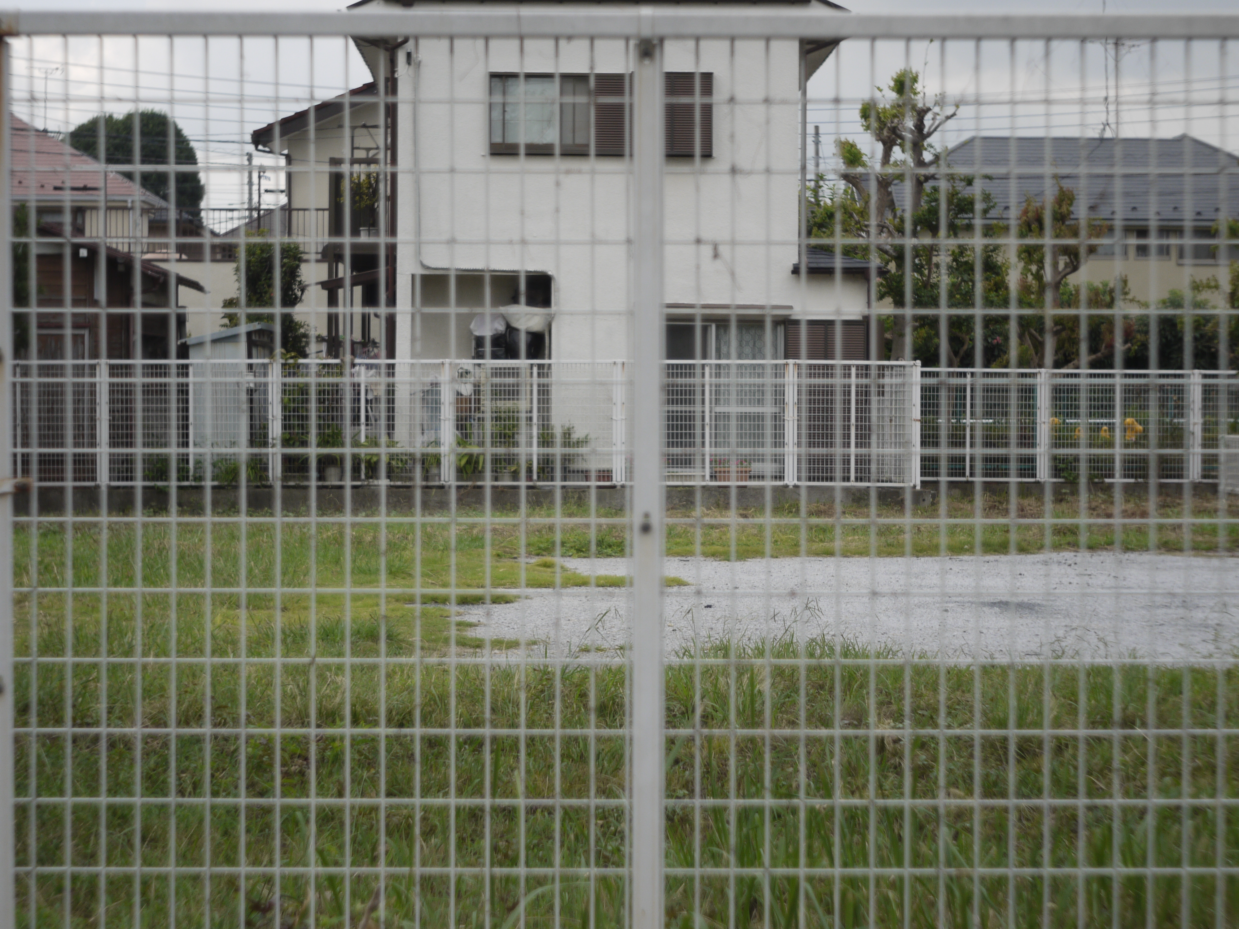 <b>LEICA DG MACRO-ELMARIT 45mm F2.8 ASPH. MEGA O.I.S.の絞り開放の1:2.8での撮影。ピントの合った遠景の描写は、高画質ながら若干ピントが柔らかい印象。四隅まで均質で画質の乱れはなく、前ボケも柔らかく自然だ。マクロから遠距離まで高い描写力が得られるのは、近距離補正機構の効果だろう</b>