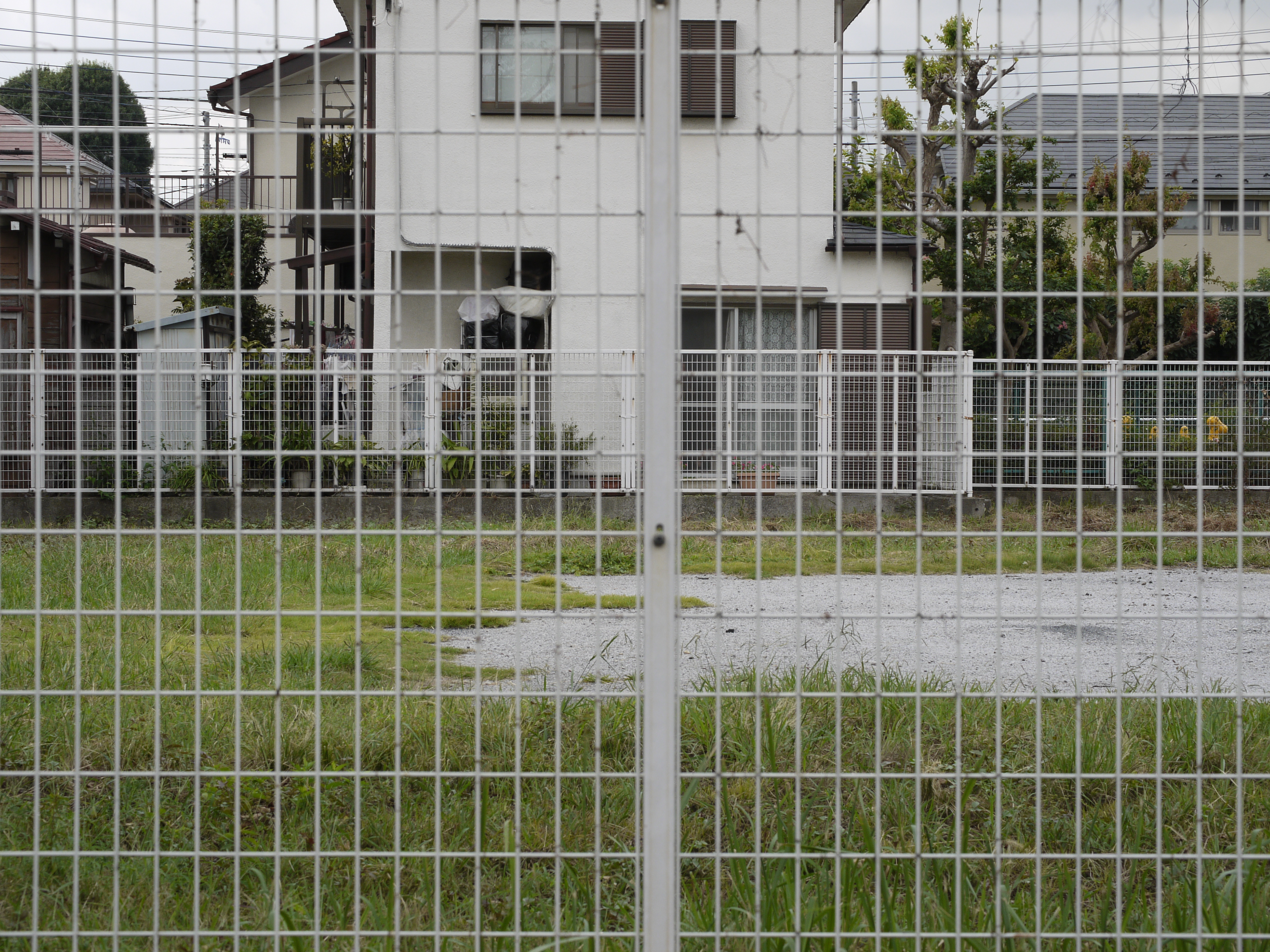 <b>Kilfit-Macro-Kilar D 1:2.8/4cmの絞りF8。ソフトフォーカスの描写は改善され、特に画面中心はシャープな描写になる。しかし画面四隅では像が崩れ、不自然な描写になる。やはりこのレンズはマクロ撮影に特化した設計がされているようだ。</b>