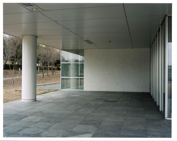 <b>(c) 田村玲子</b>