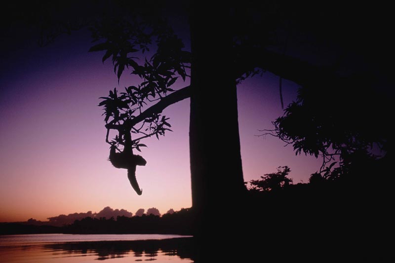 <b>(c) 今森光彦</b>