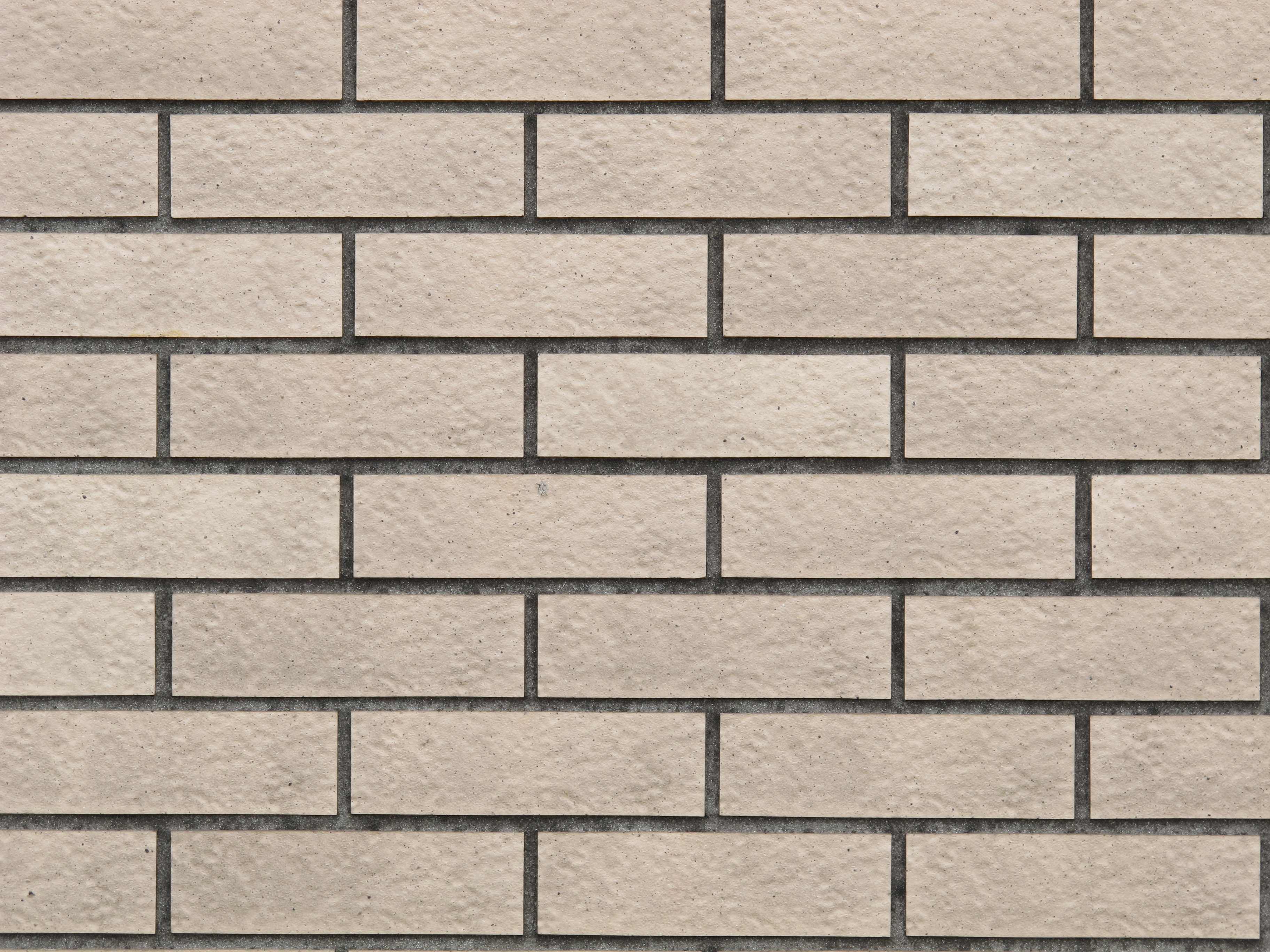 <b>望遠端F5.6<br>PowerShot G12 / 約3.0MB / 3,648×2,736 / 1/30秒 / F5.6 / +0.7EV / ISO80 / WB:オート / 30.5mm</b>