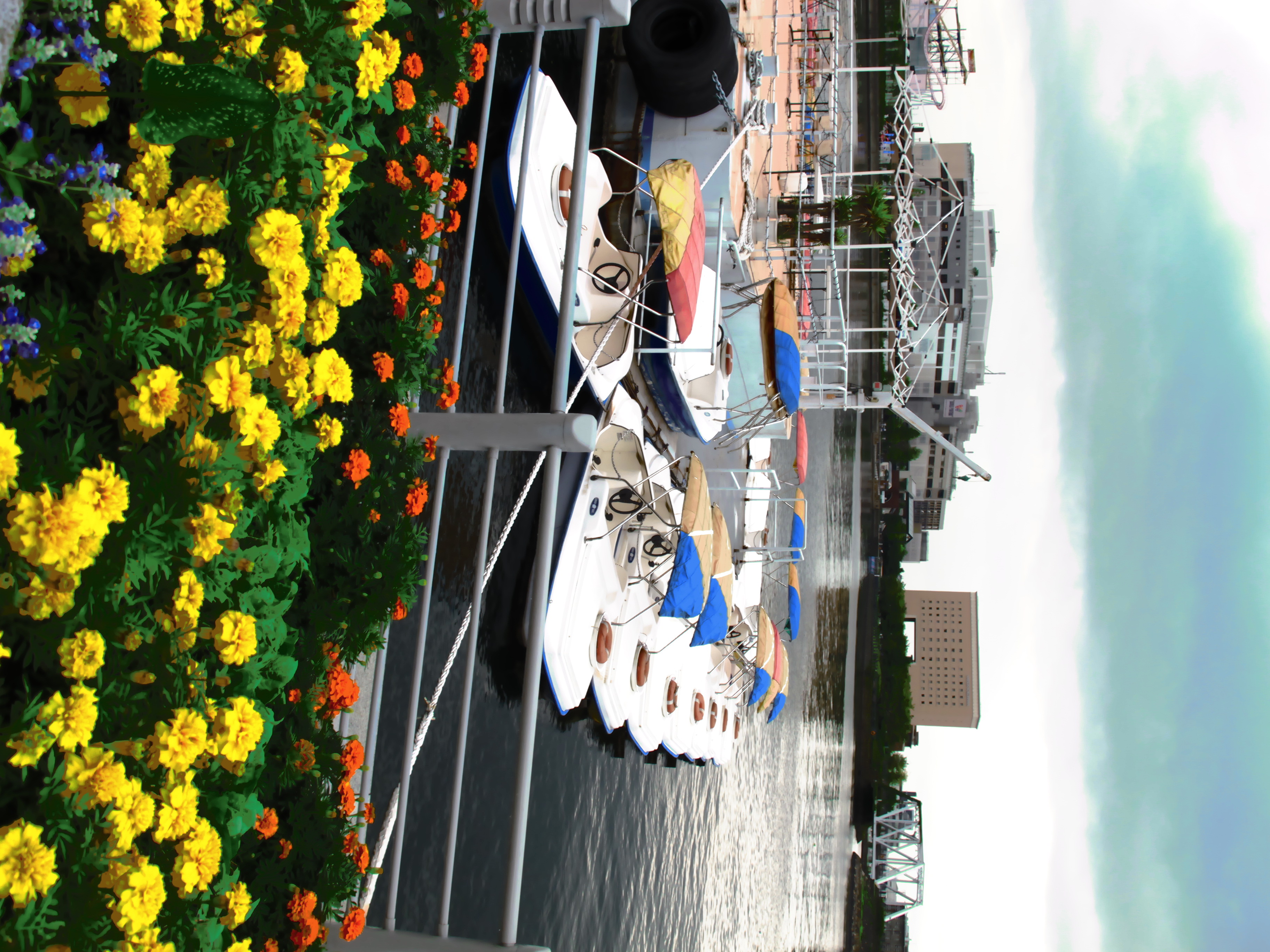 <b>オールドポスター<br>PowerShot G12 / 約2.2MB / 2,736×3,648 / 1/160秒 / F4 / 0.0EV / ISO80 / WB:オート / 6.8mm</b>