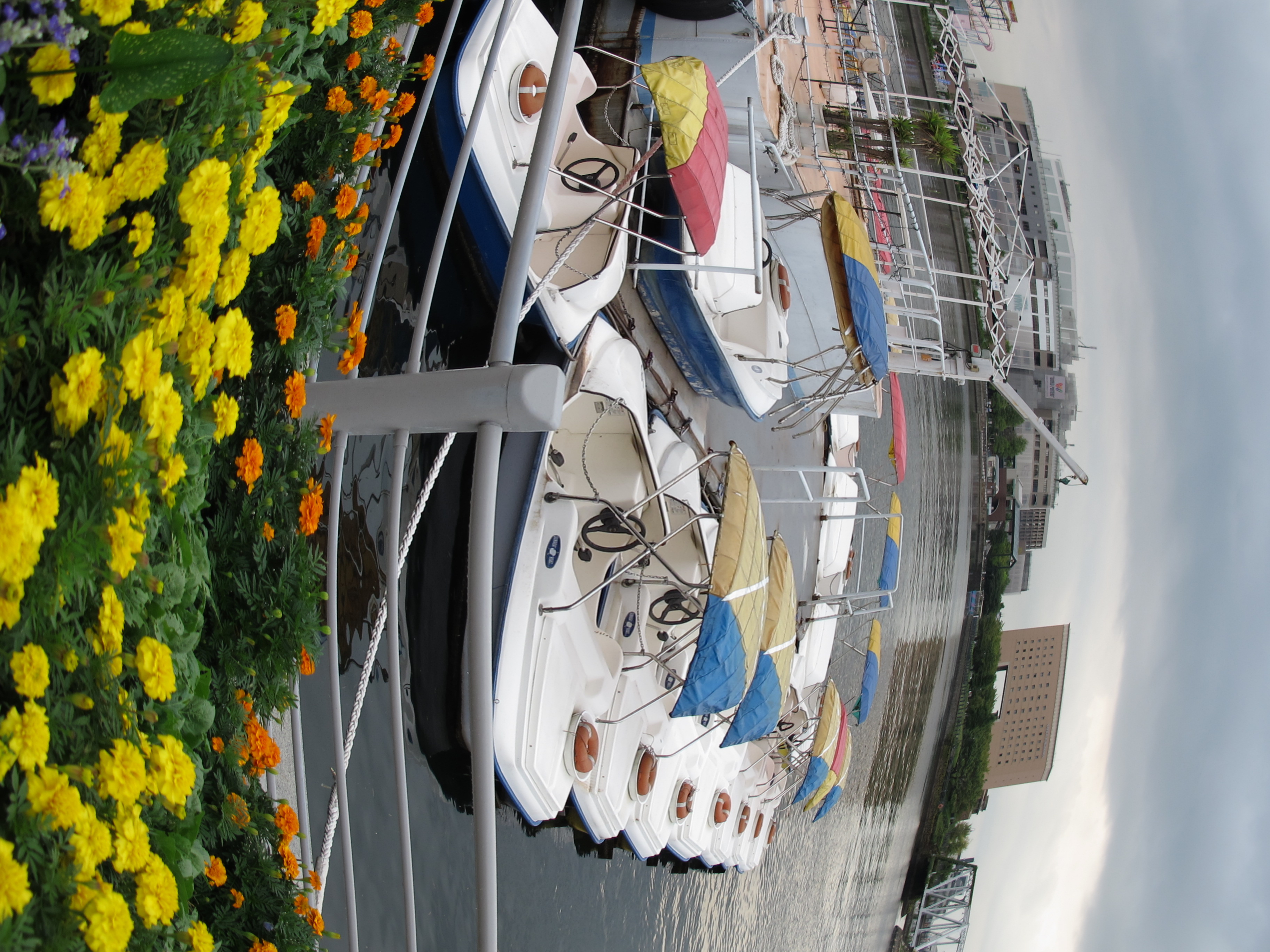 <b>魚眼風<br>PowerShot G12 / 約2.2MB / 2,736×3,648 / 1/400秒 / F2.8 / 0.0EV / ISO80 / WB:オート / 6.8mm</b>